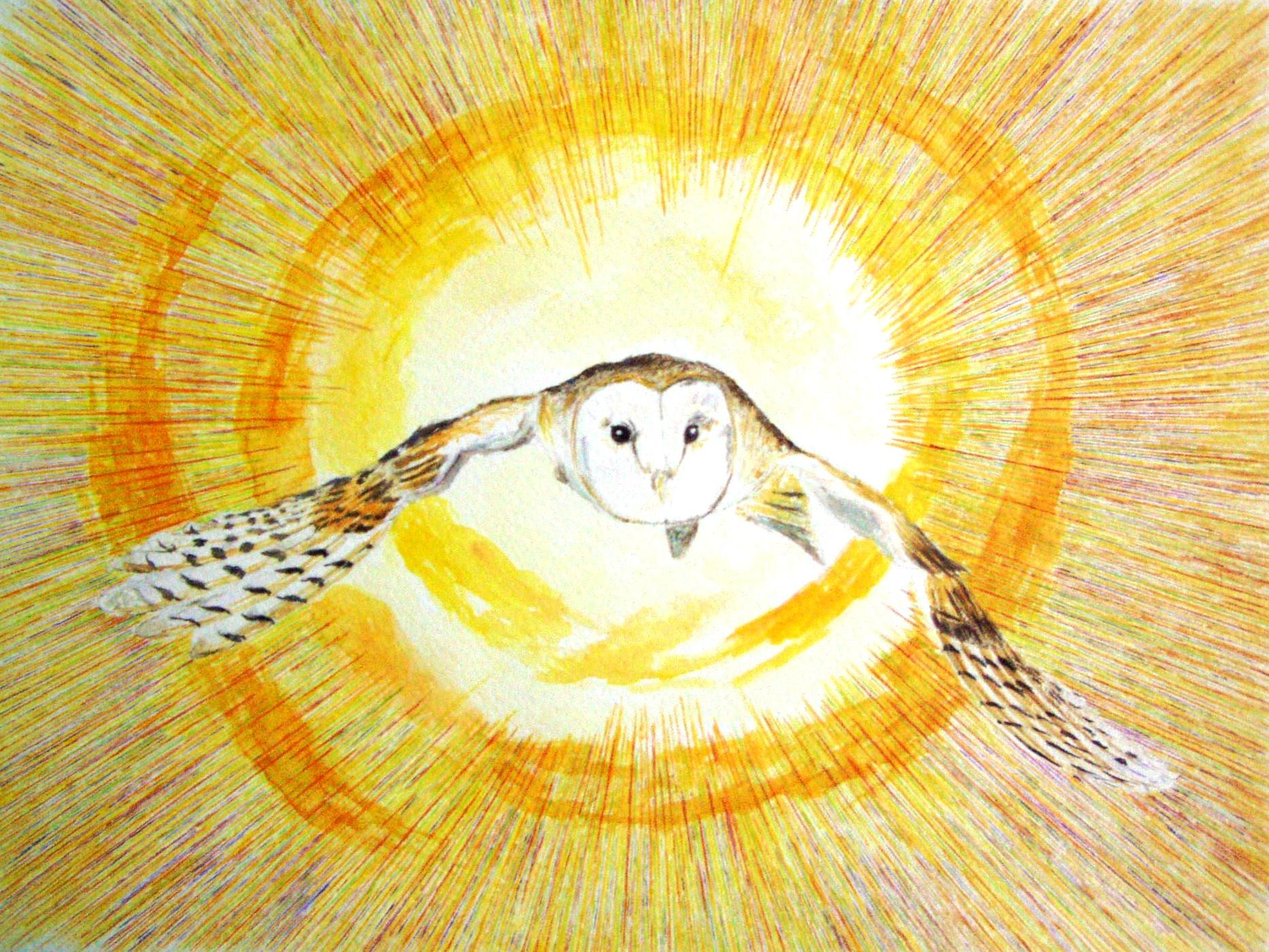 Owl