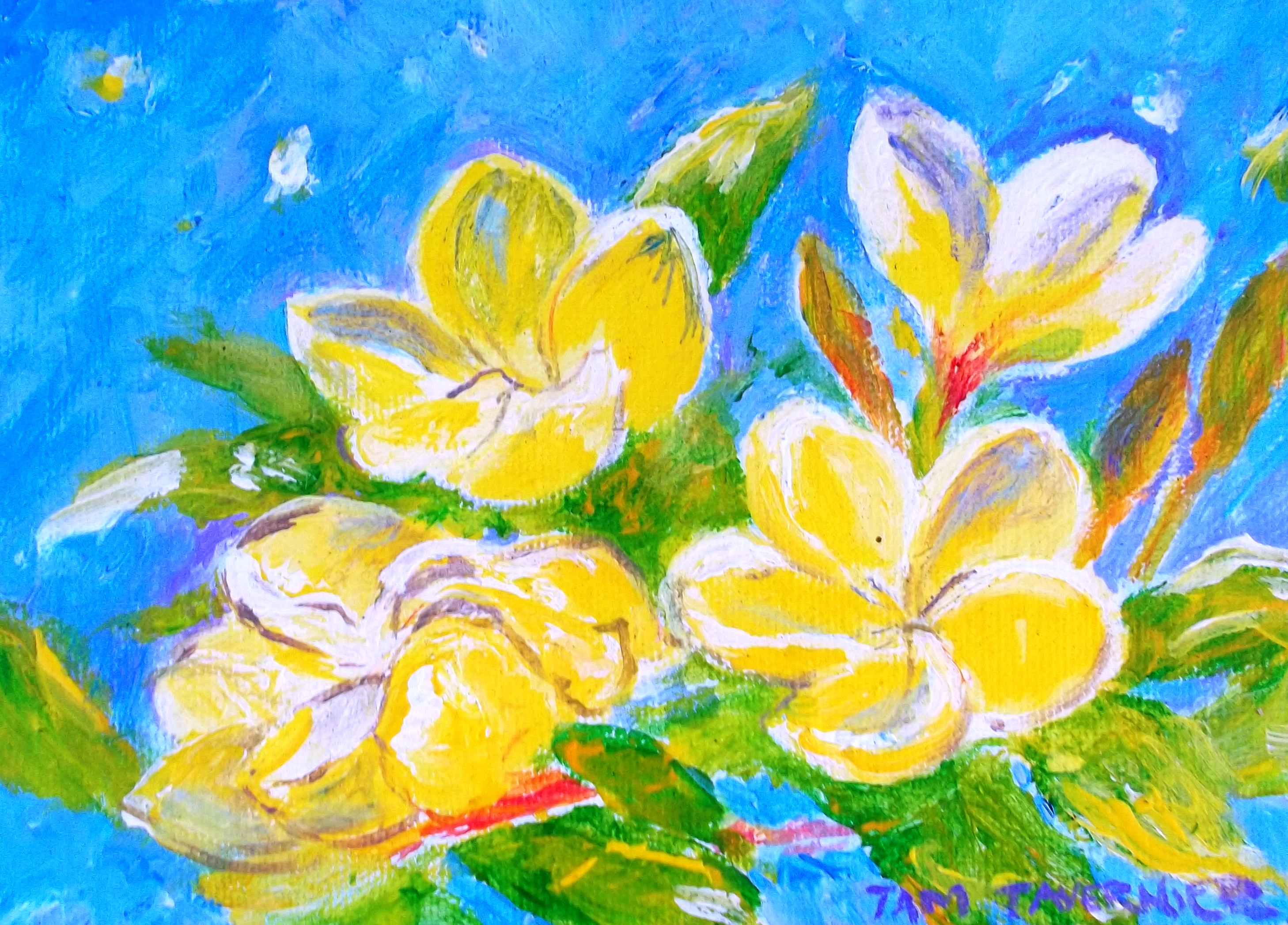 Plumeria