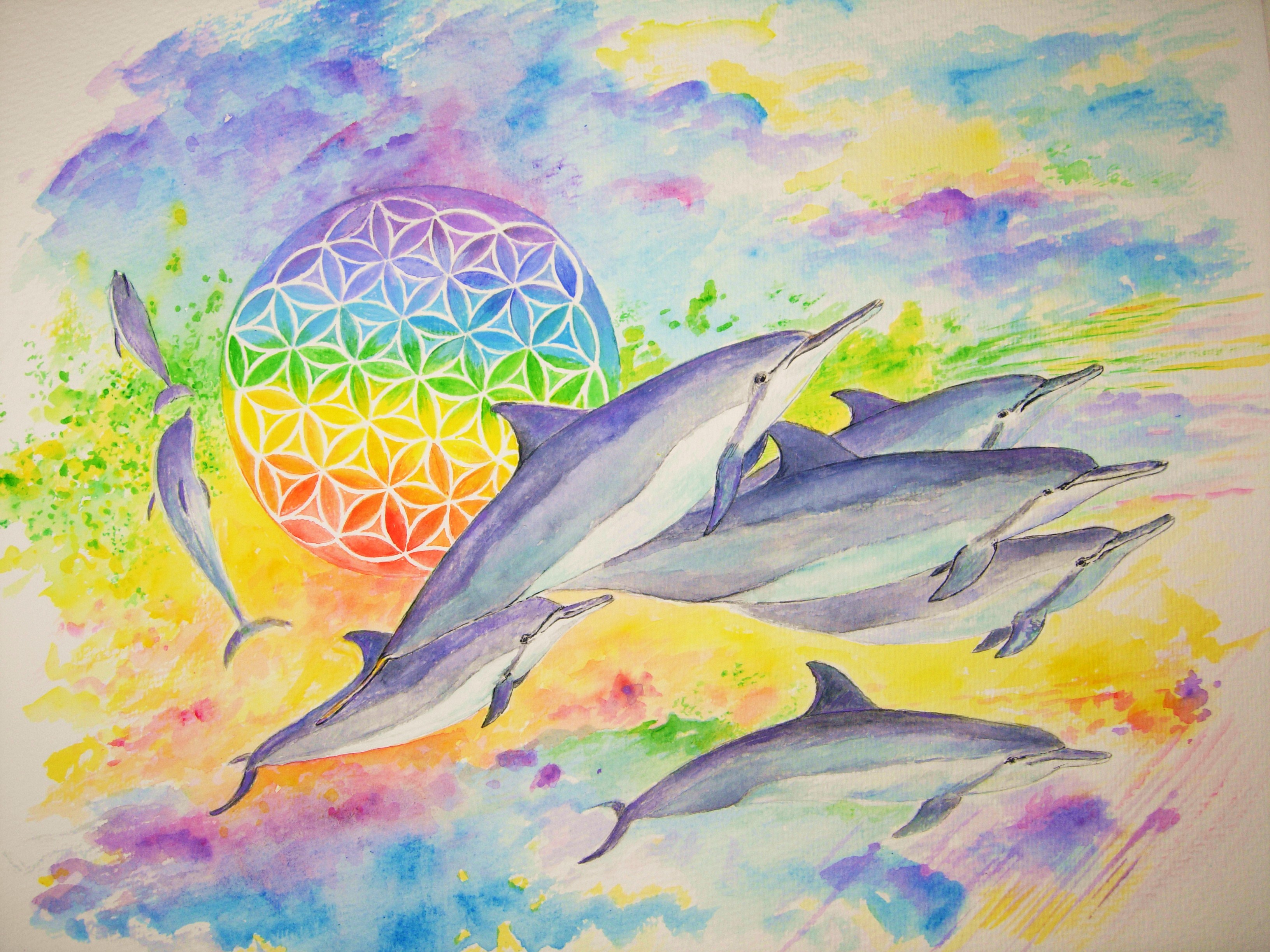 Rainbow flower of life dolphins