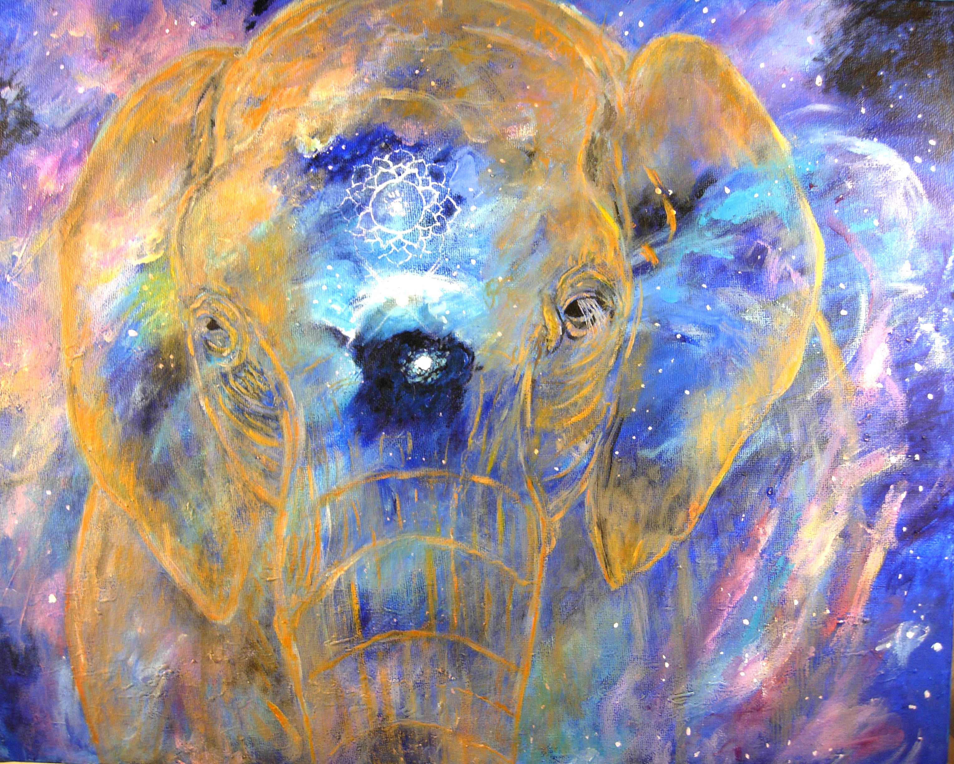 Elephant third eye