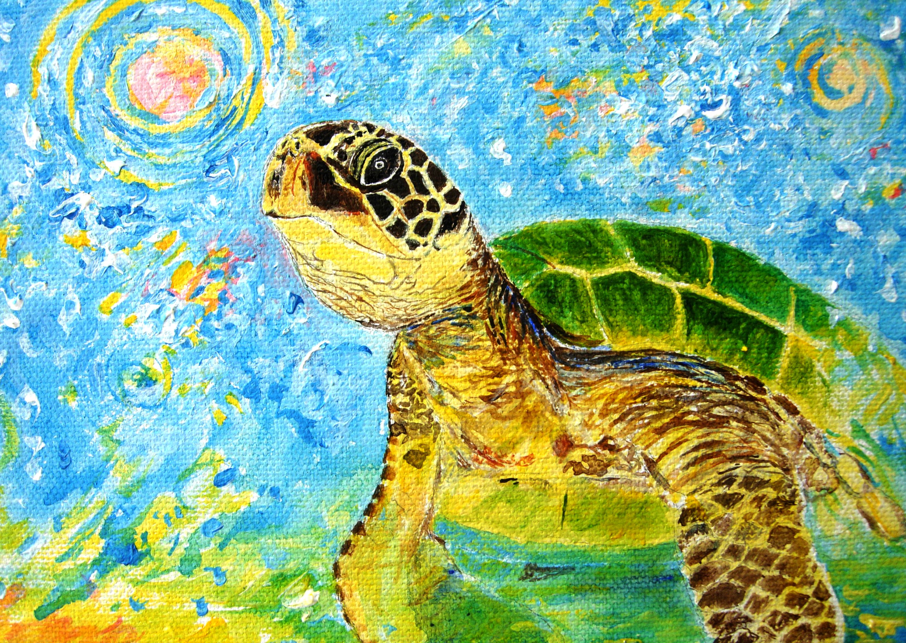 Honu impression