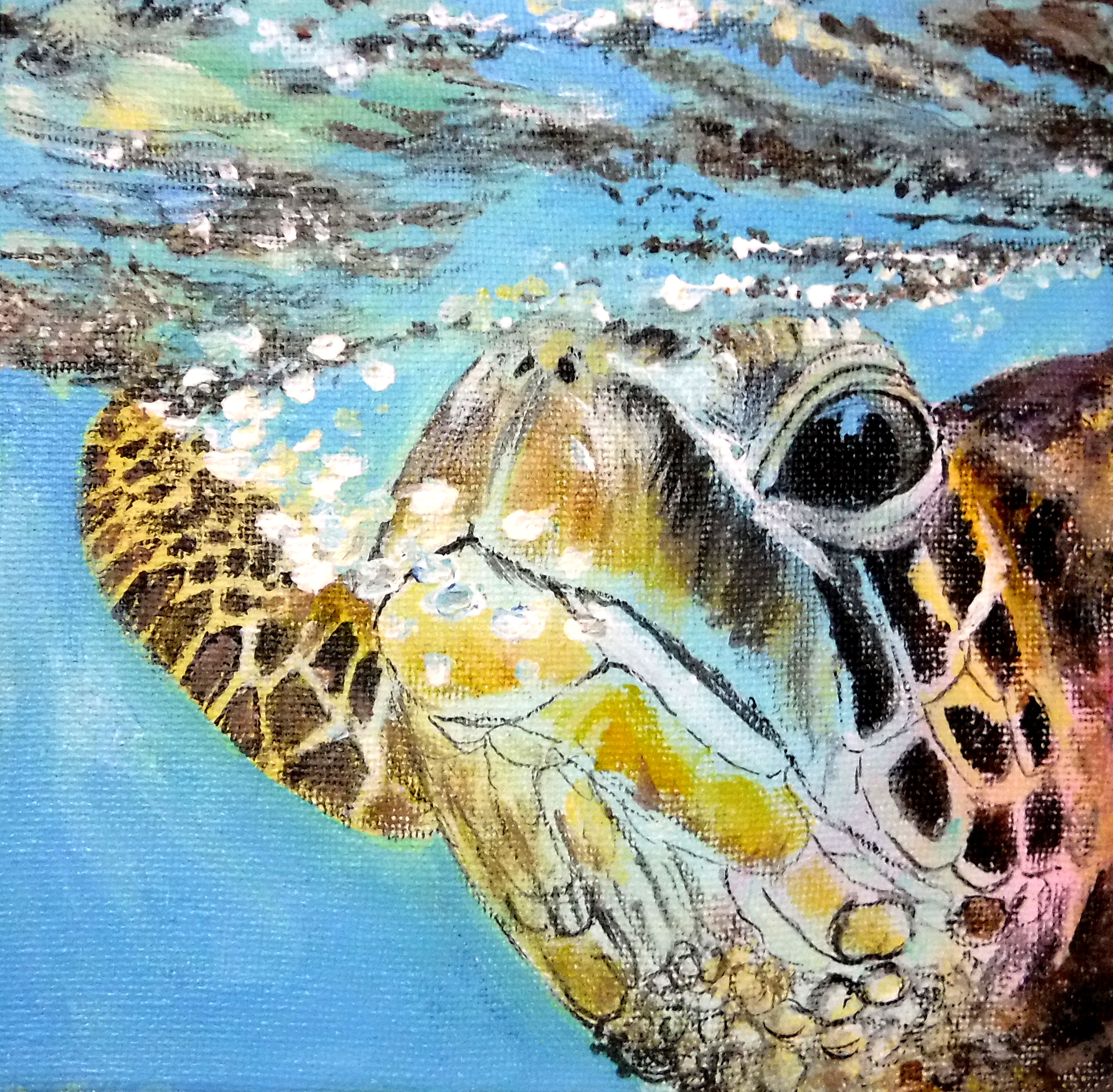 Little turtle