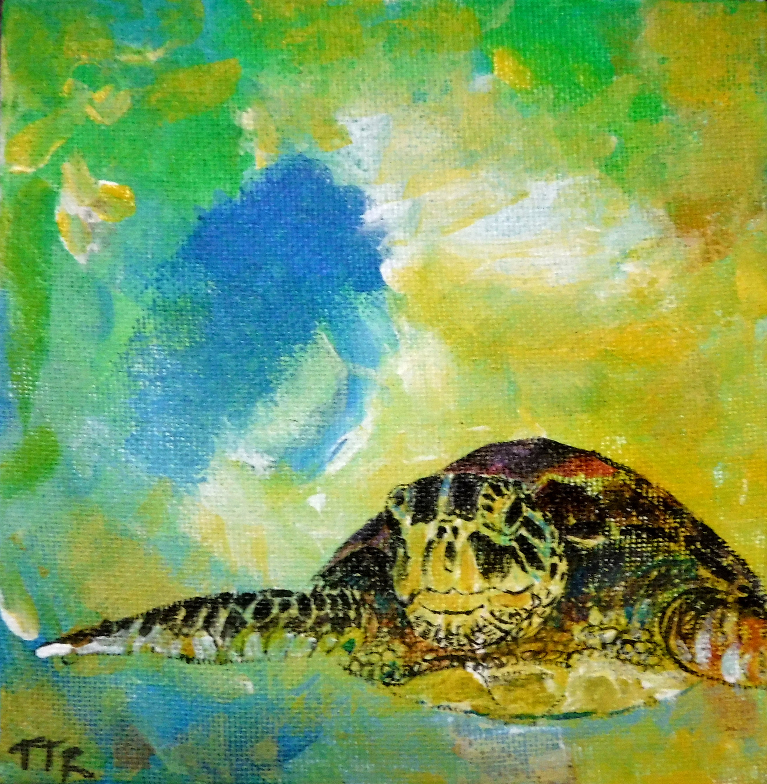 Turtle smile