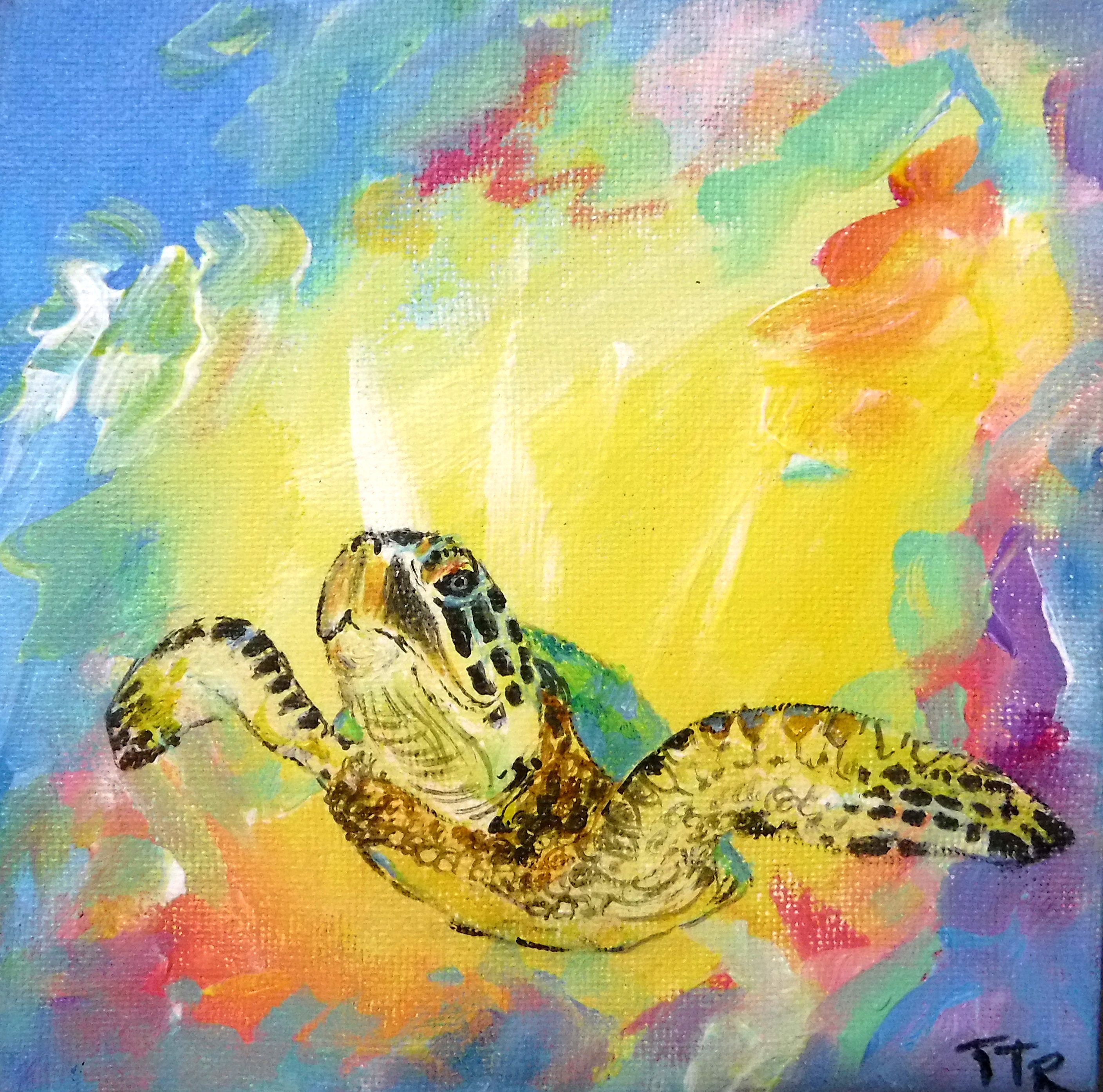Colorful turtle
