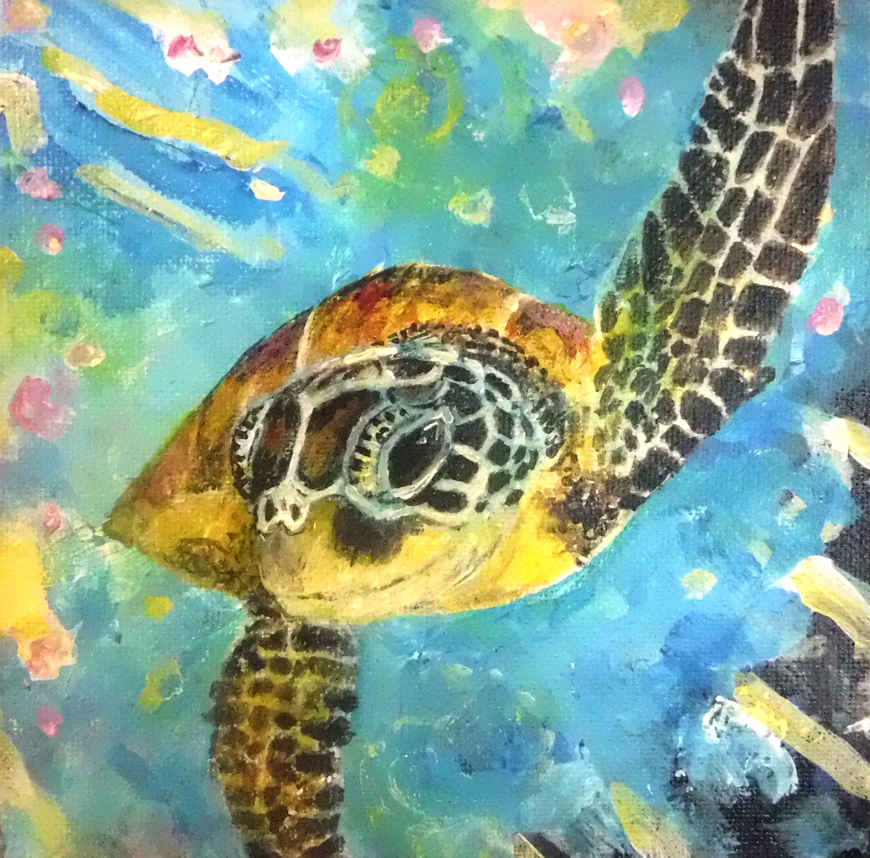 tiny turtle