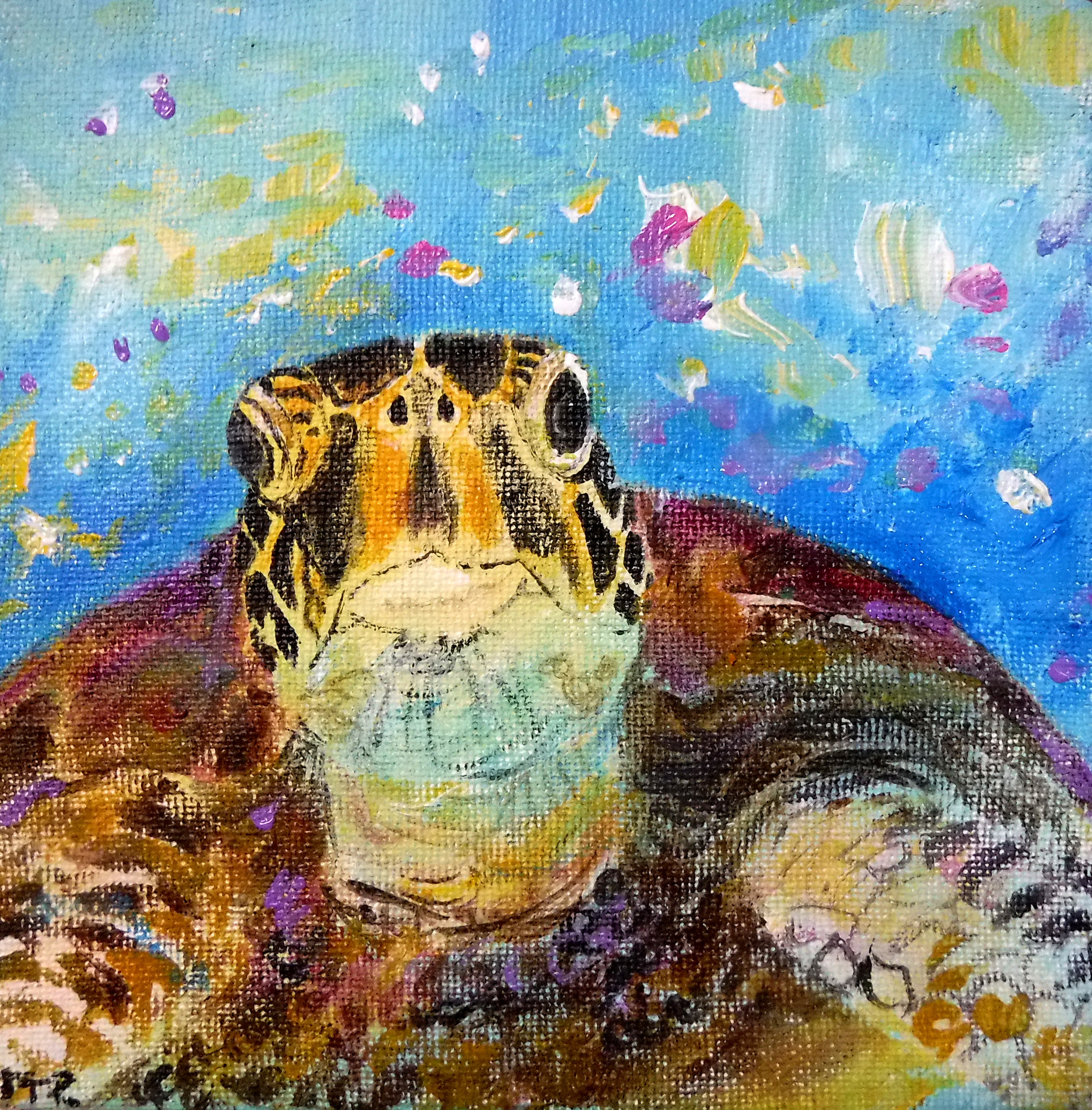 turtle vibe