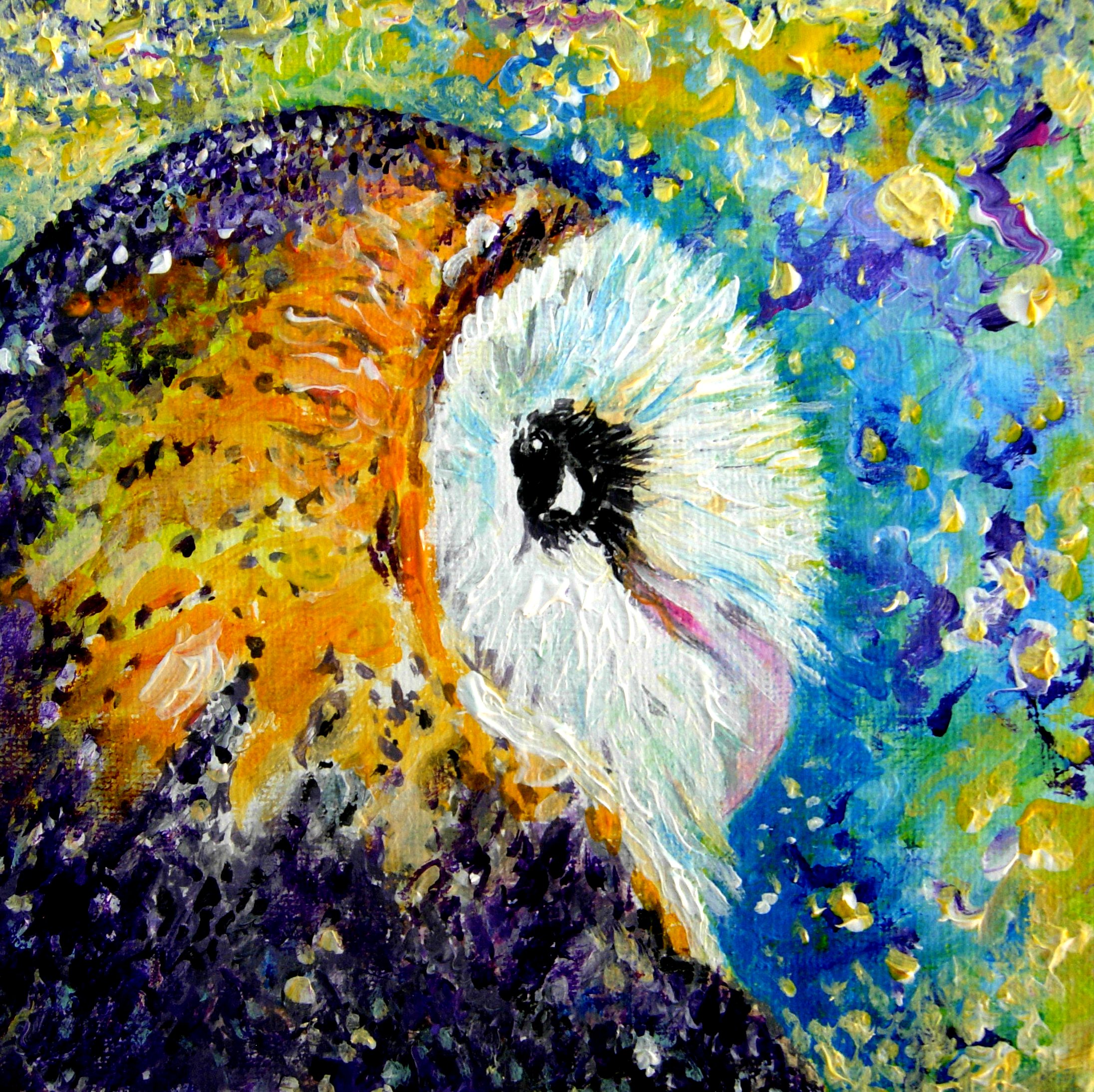Space owl