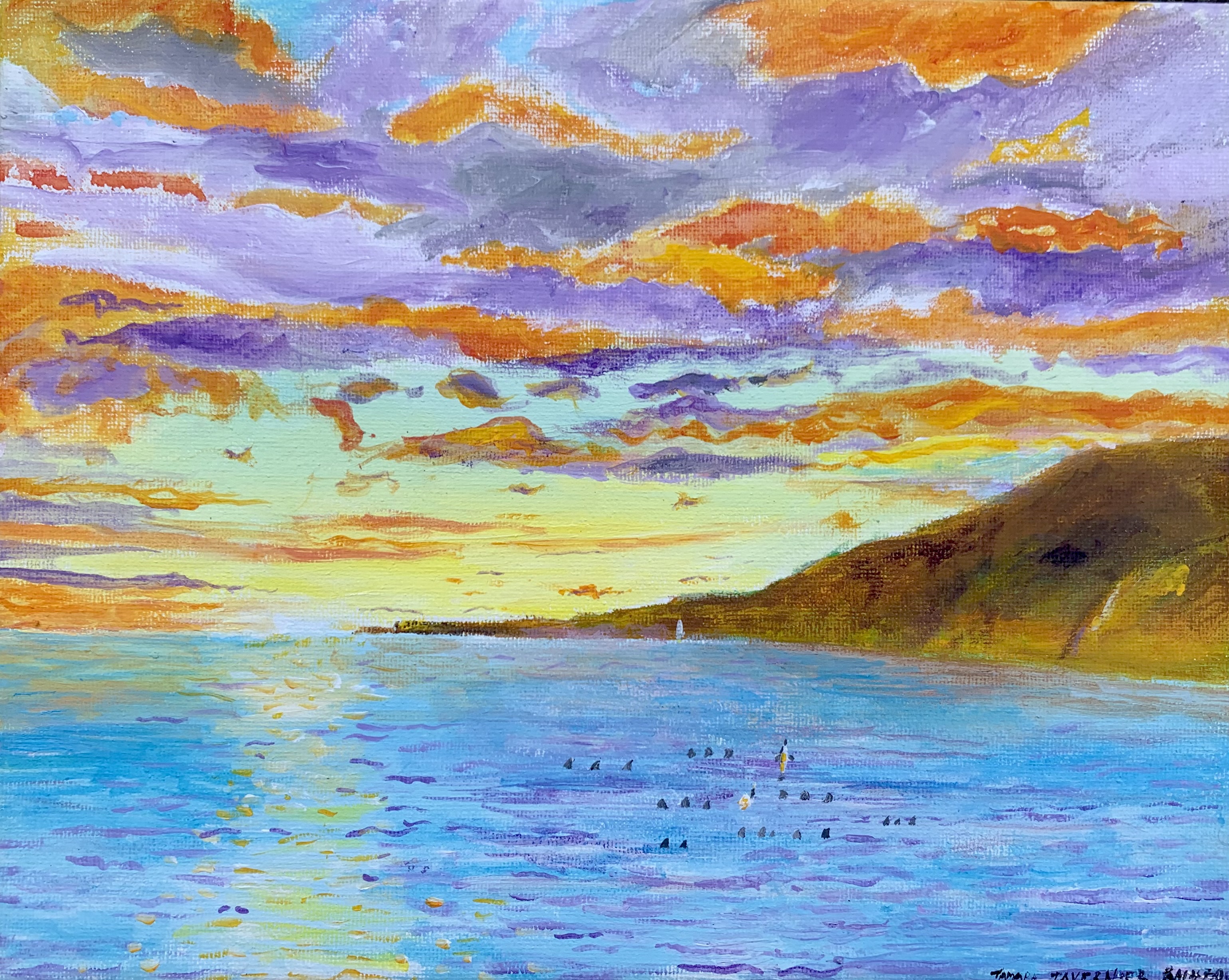 Kealakekua bay 