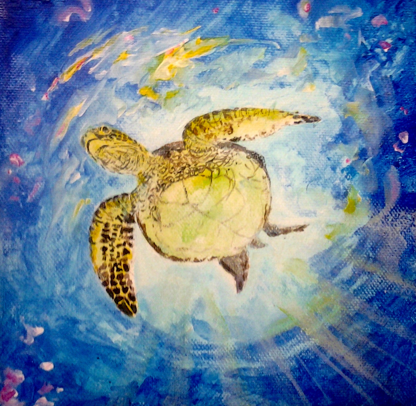 Turtle high