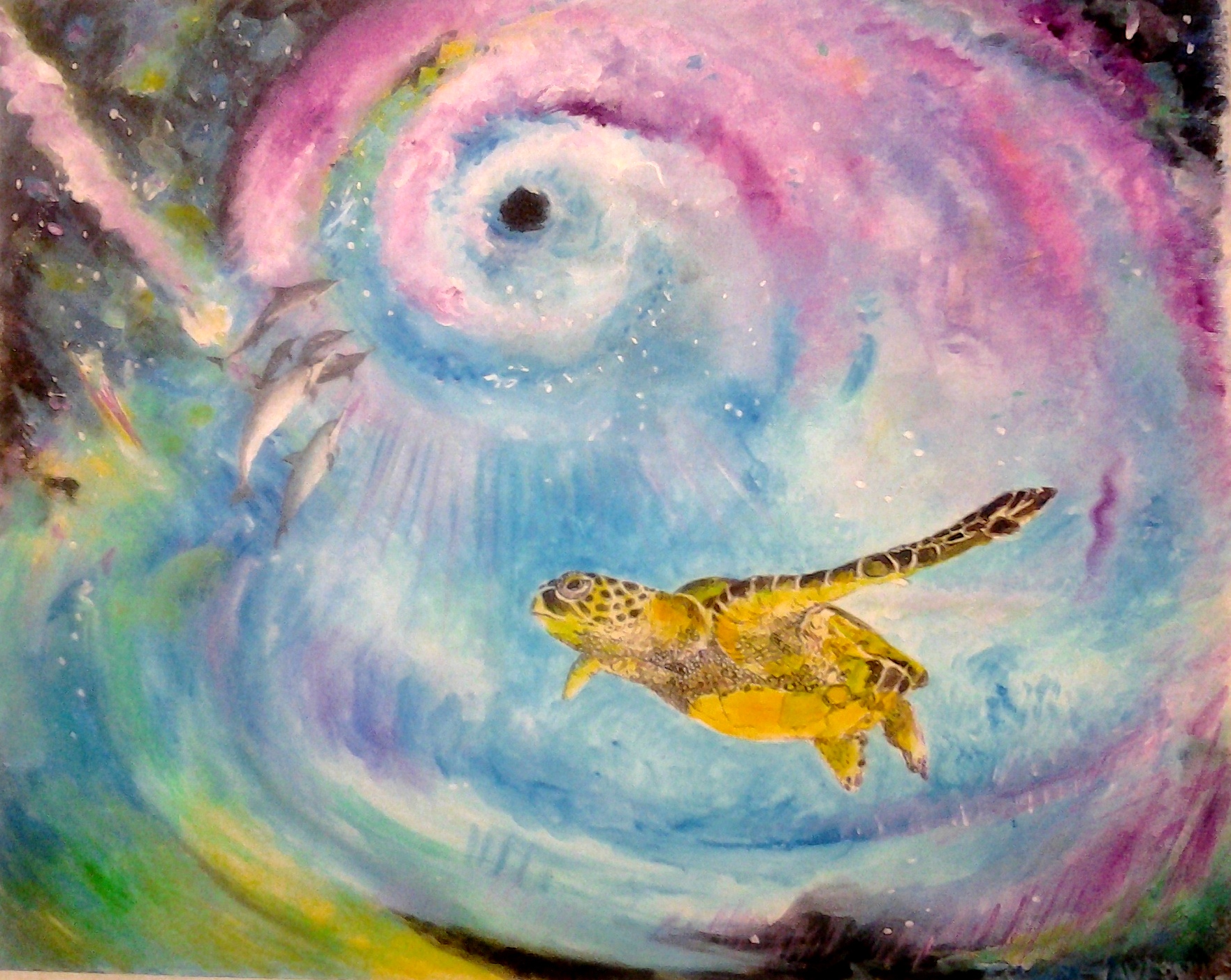 Spiral turtle
