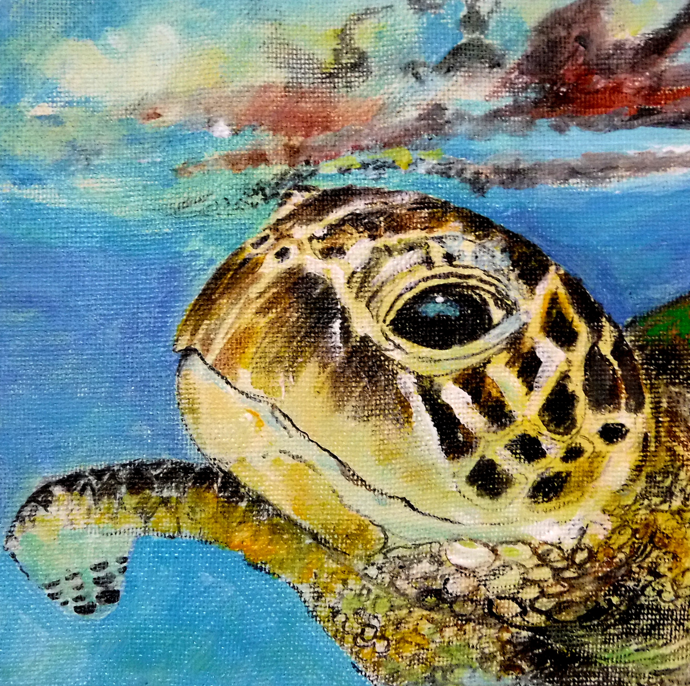 Small turtle