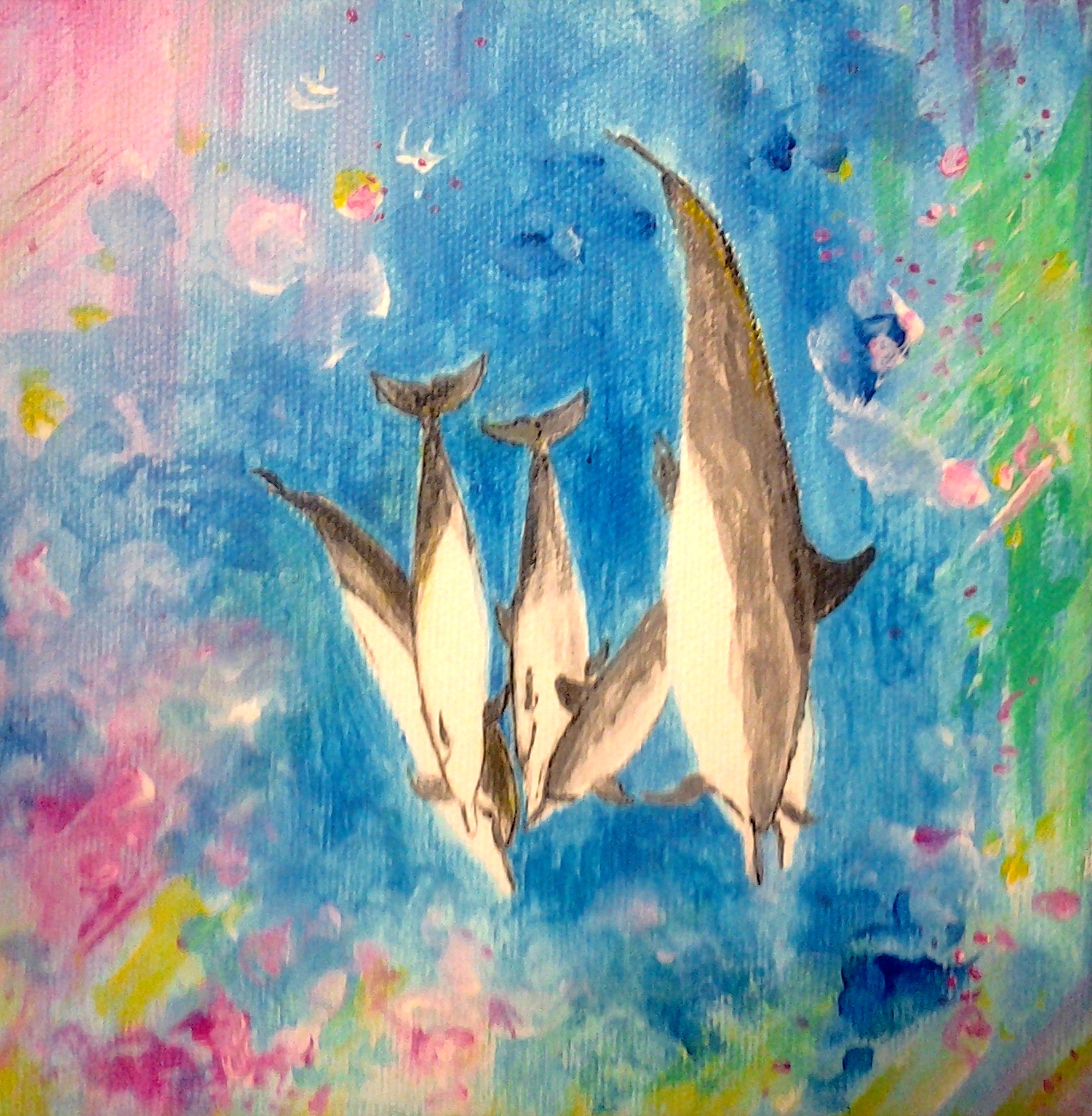 Spinner dolphins