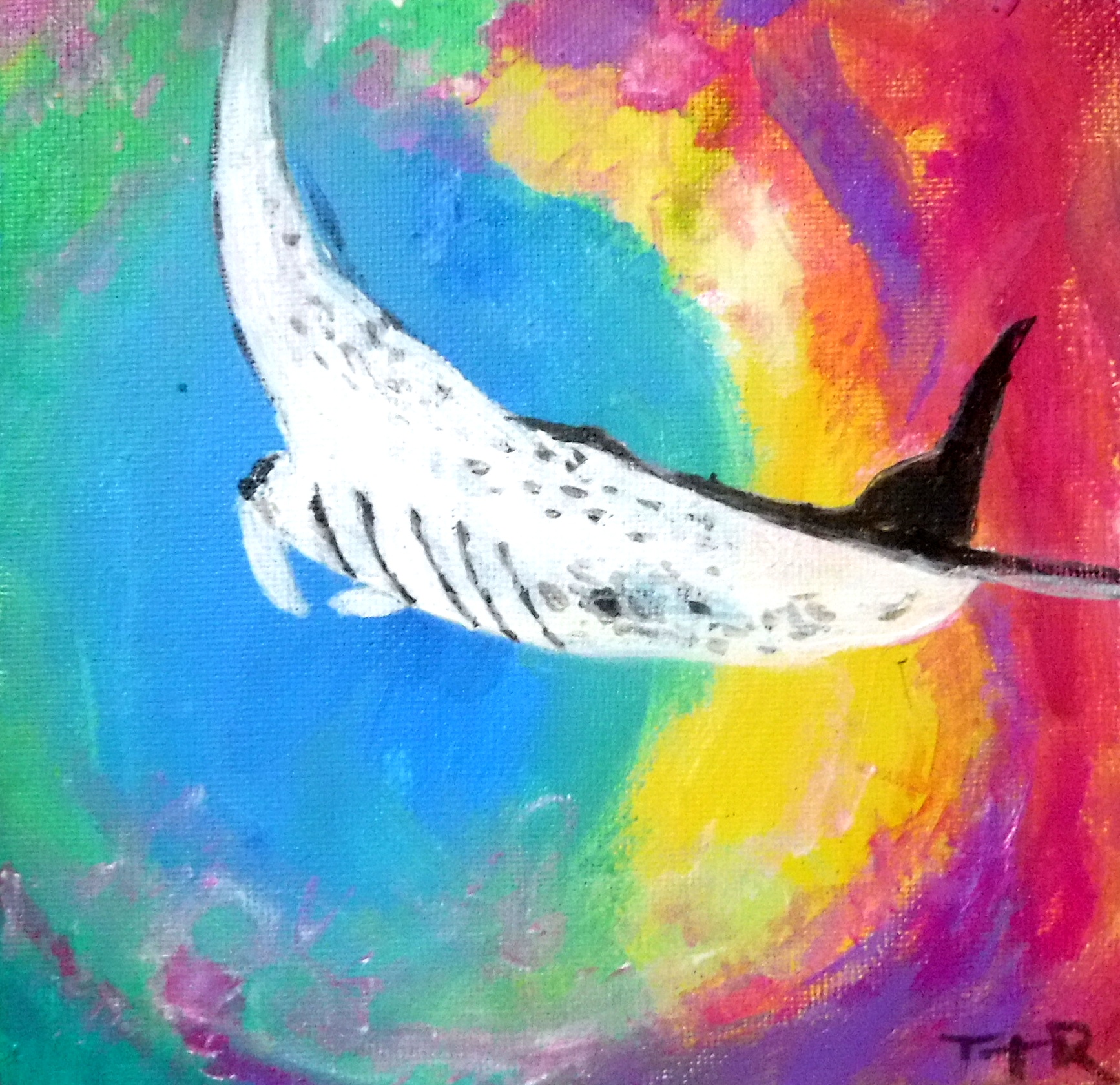 Manta