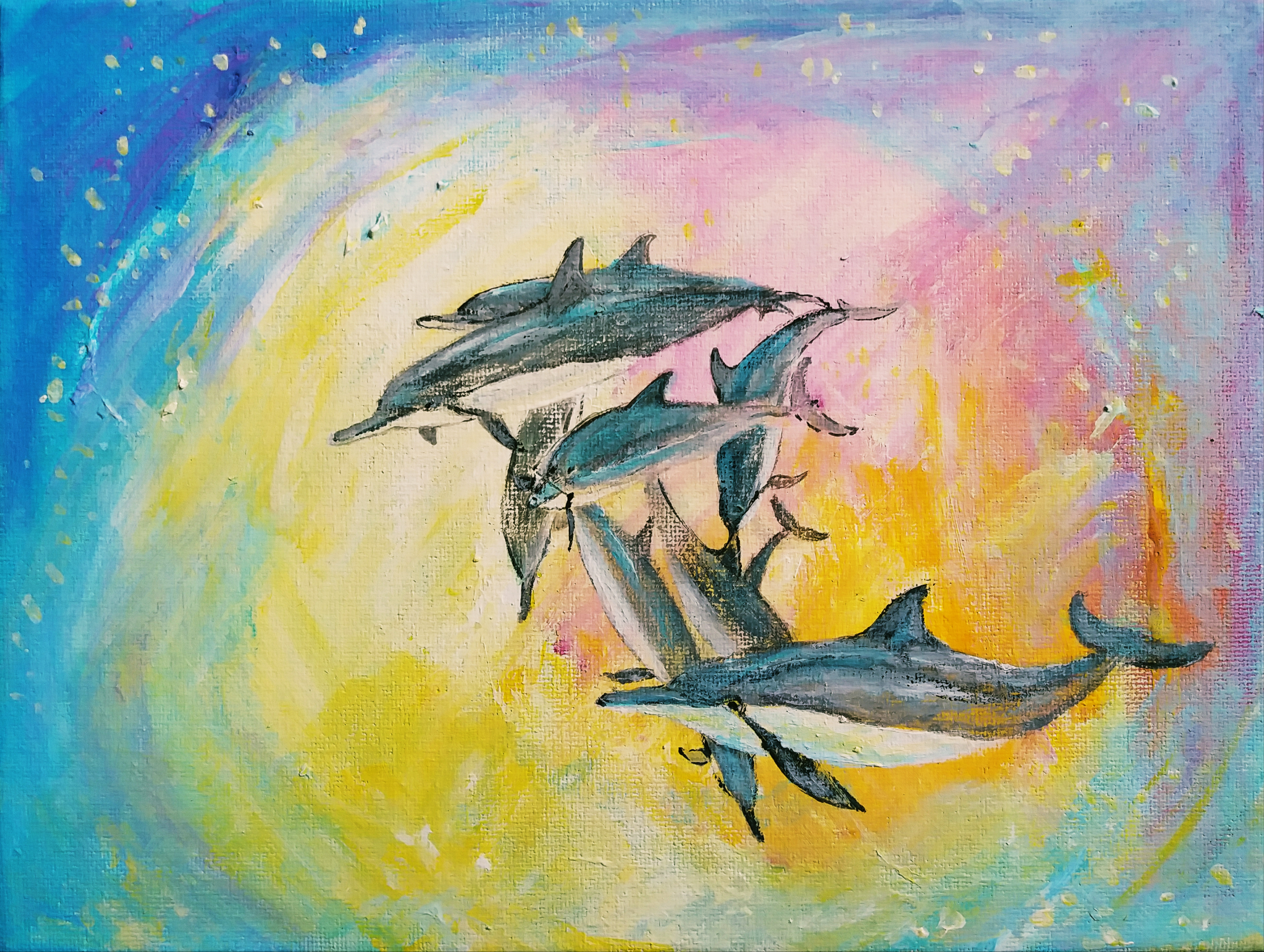 Dolphin Joy