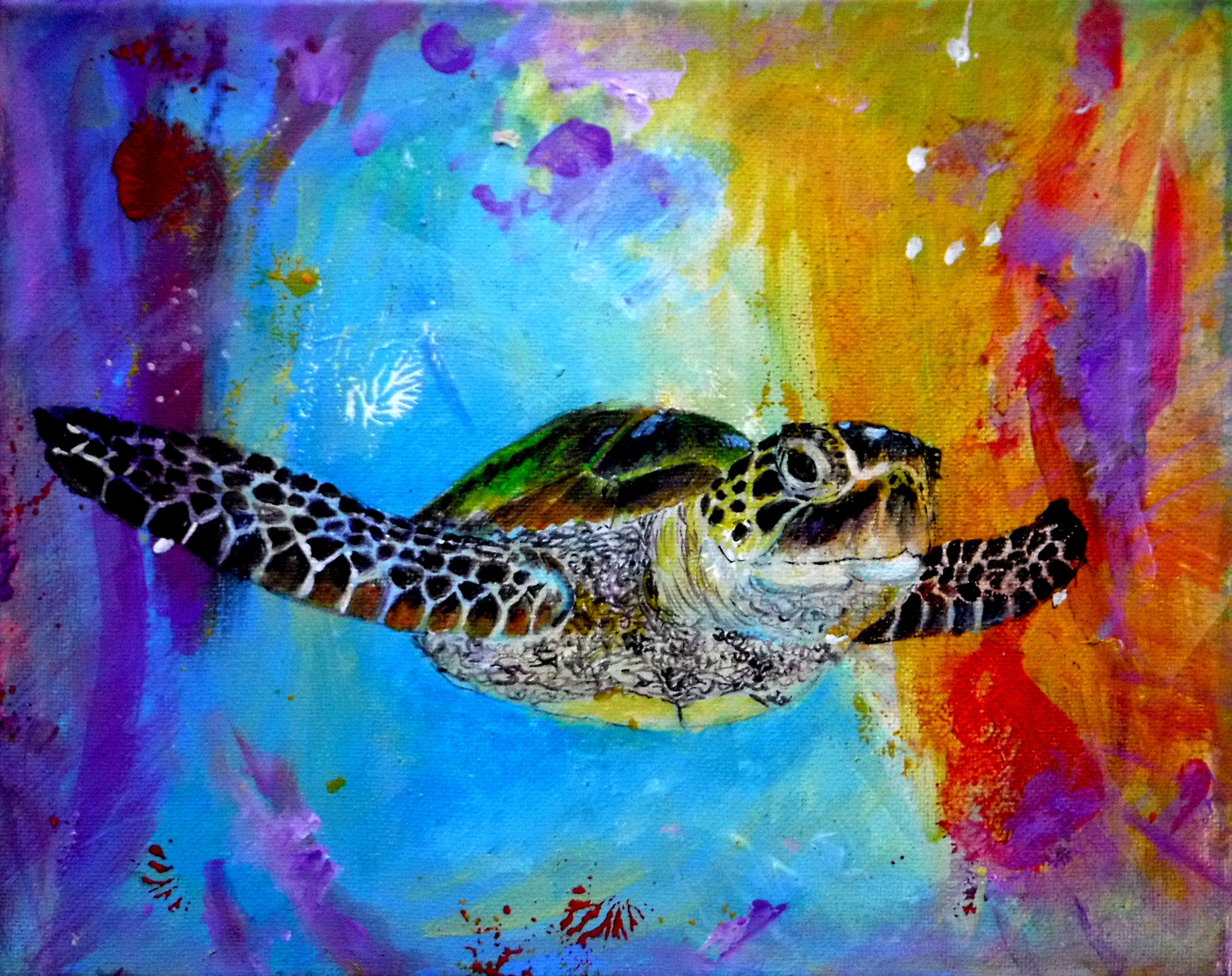 Turtle heaven