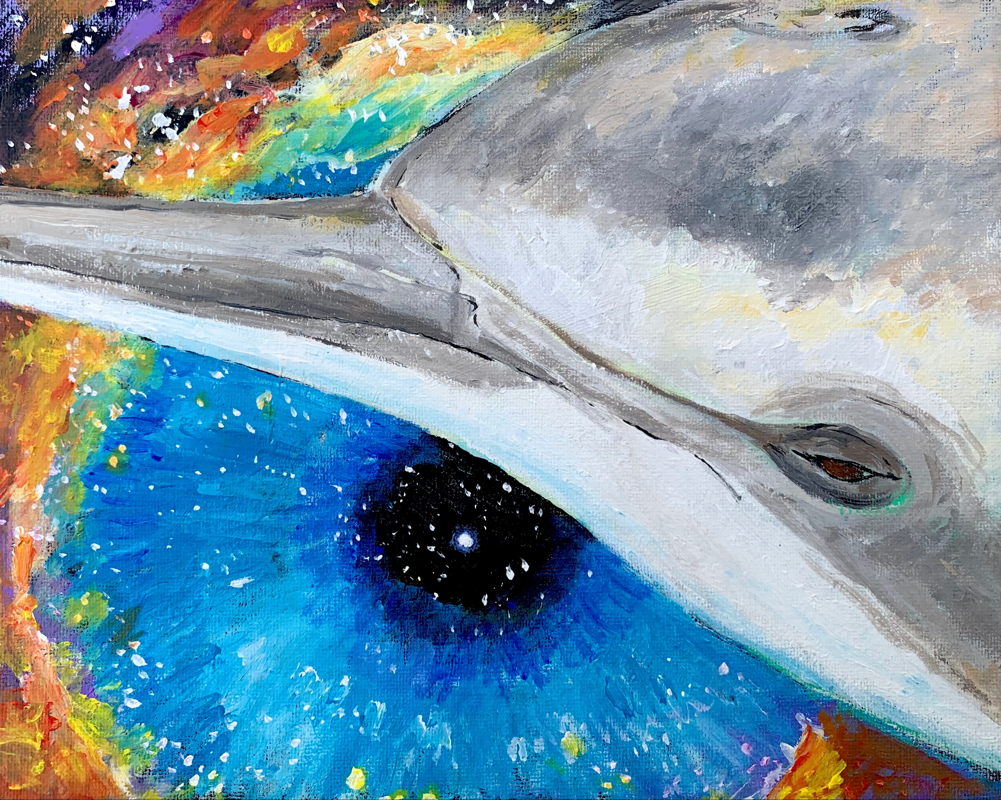 Dolphin eye