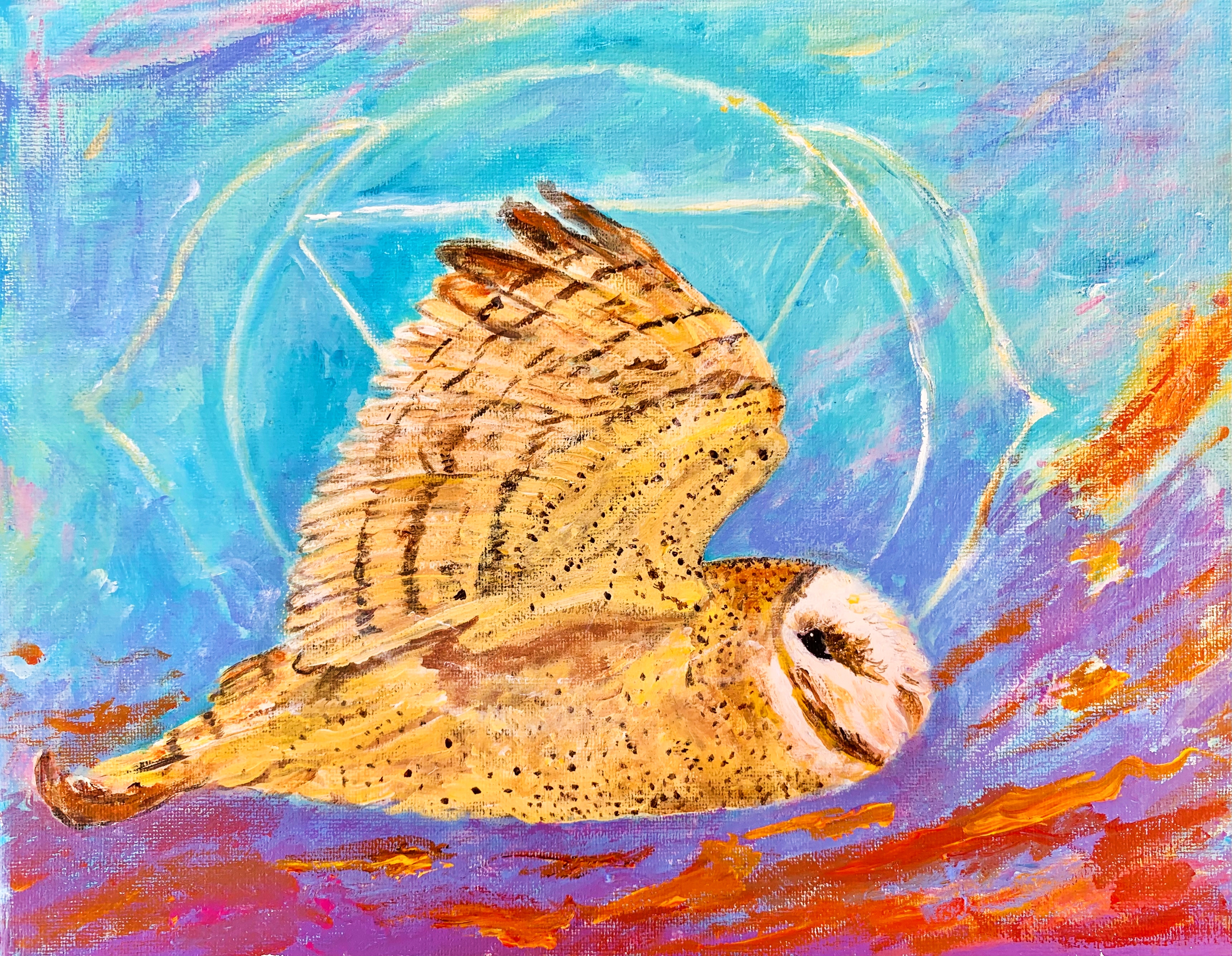 owl flight
