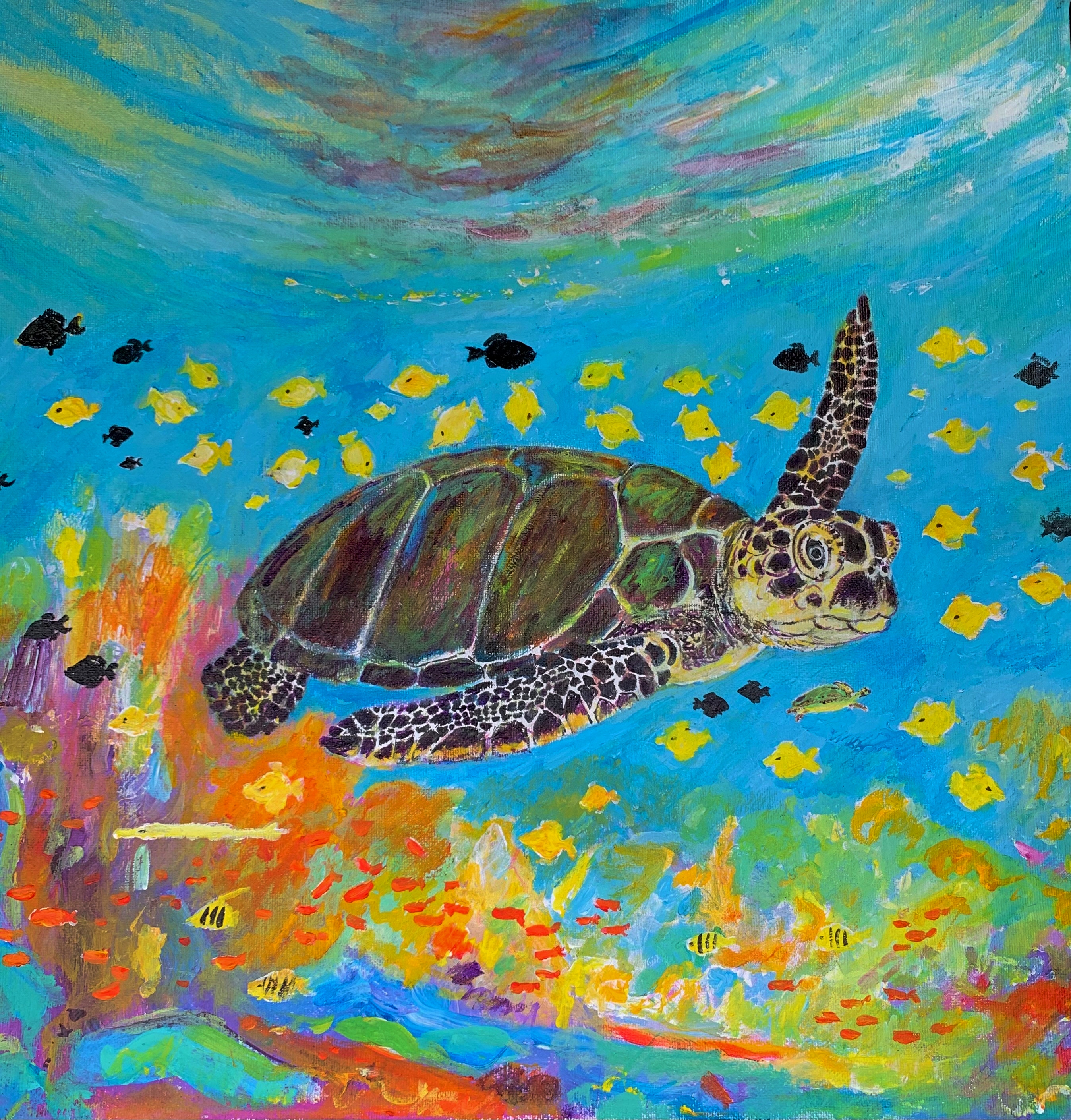  Honu paradise