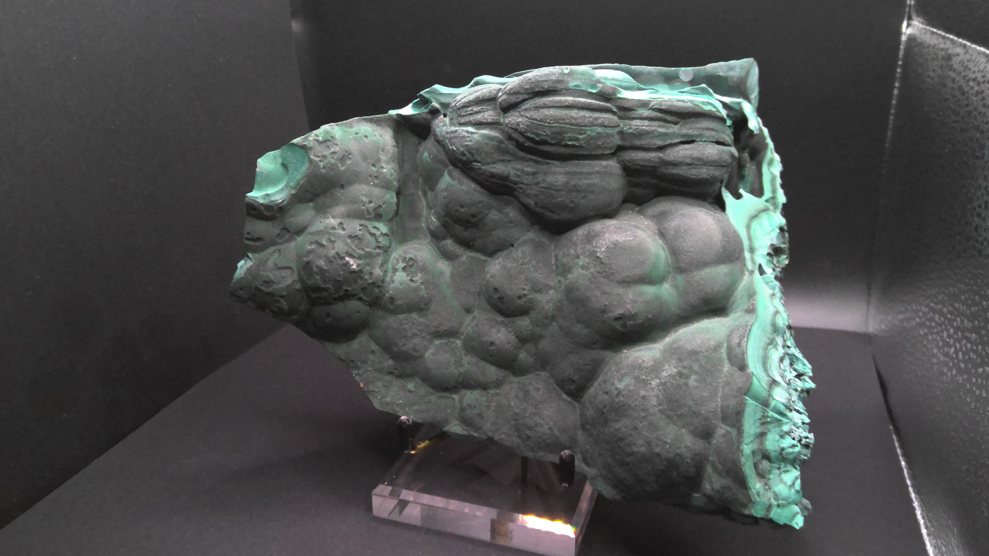 Large Botryoidal Malachite Slab - Congo