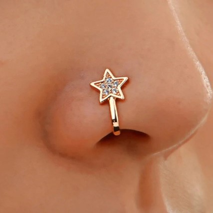 Stellar Radiance: Rosegold Star Shaped Nosepins