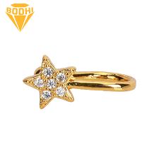 Stellar Radiance: Rosegold Star Shaped Nosepins