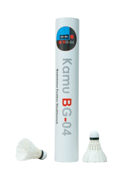 KAMU -BG-04