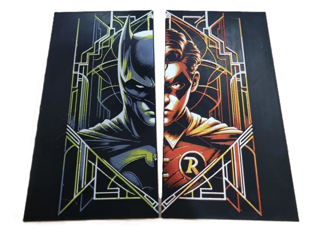 Batman & Robin Dual Shadows