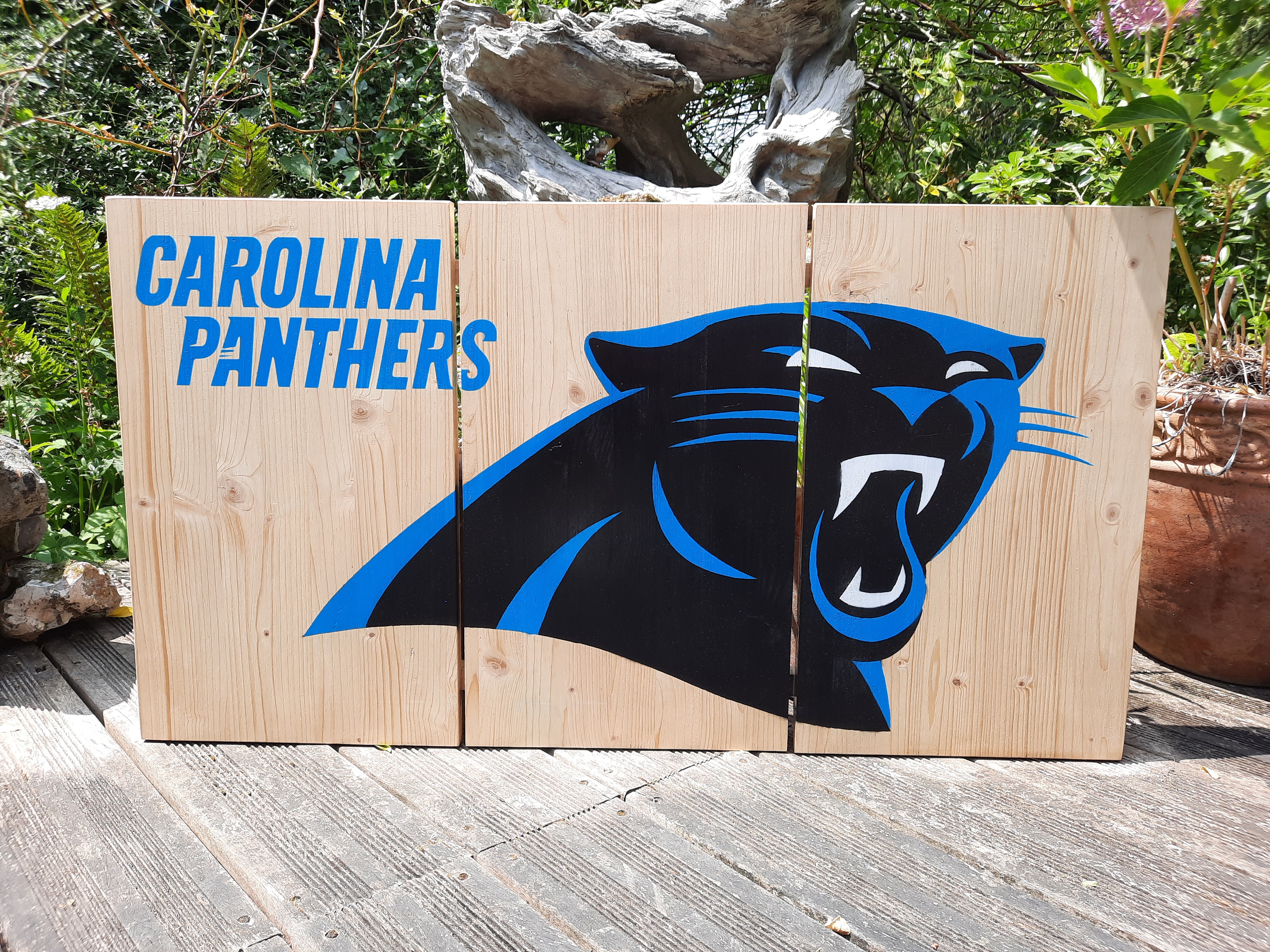 Panneau Carolina Panthers