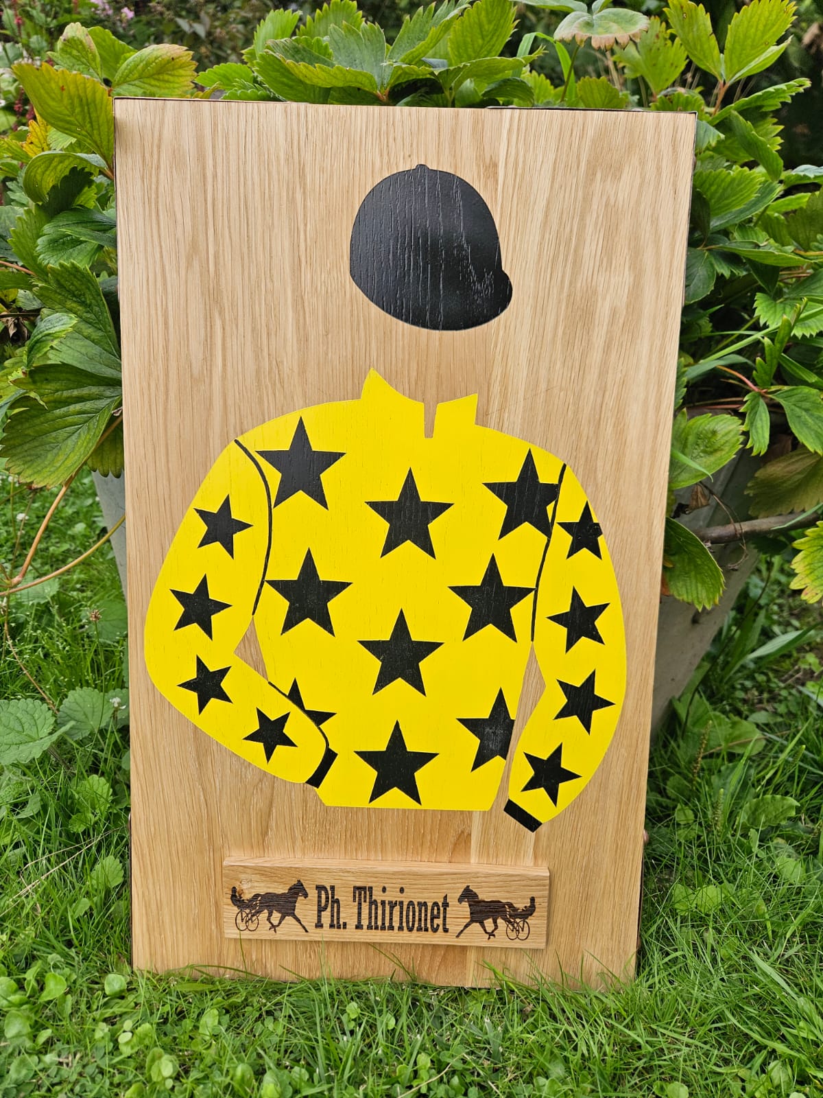 Tableau-Casaque peinture