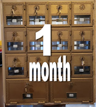Mail Box Service for 1 month
