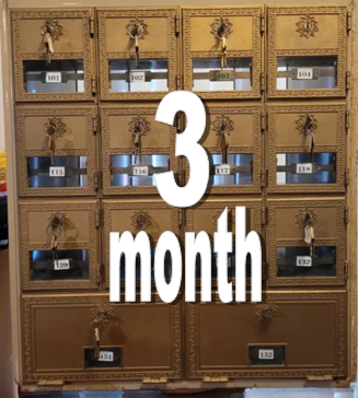 Mail Box Service  3 Months