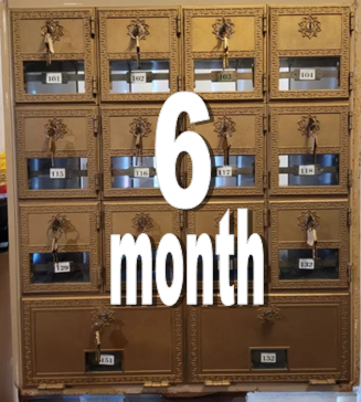Mail Box Service 6 months