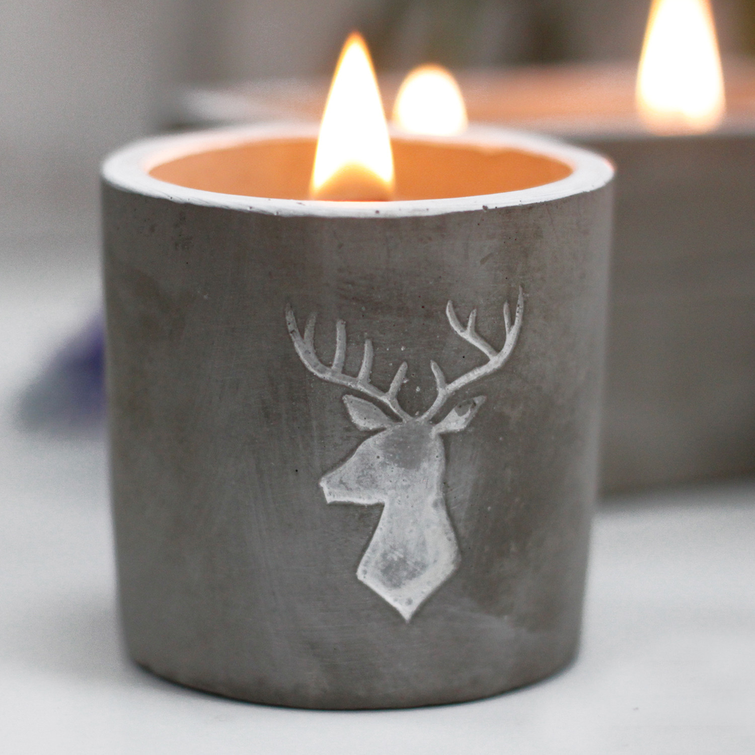 Deer Head Whiskey And Woodsmoke Scented Candle