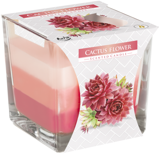 Cactus Flower Layered Scented Candle 170g