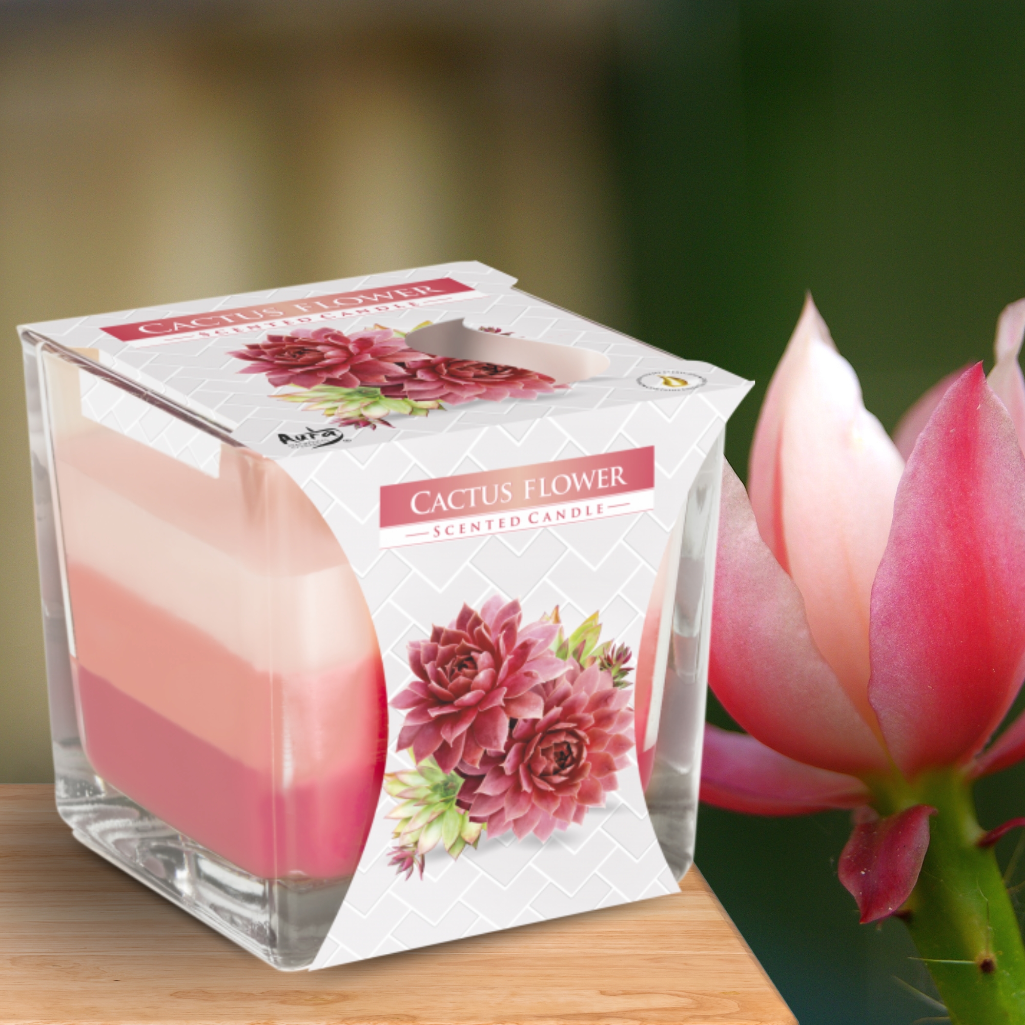 Cactus Flower Layered Scented Candle 170g
