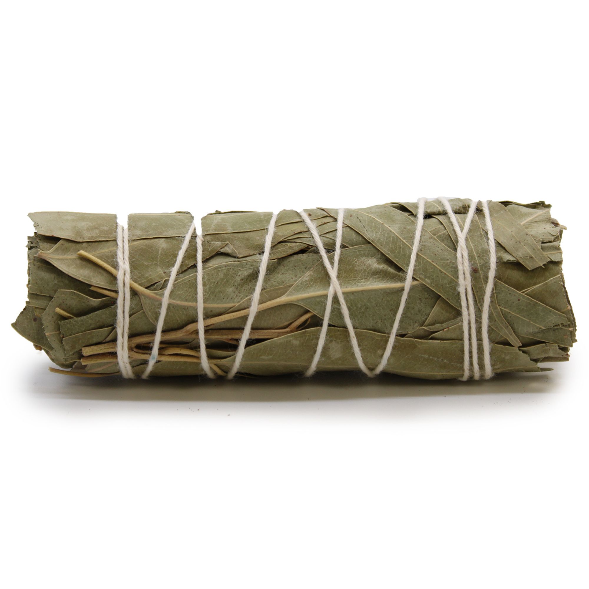 White Sage and Eucalyptus Smudge Stick