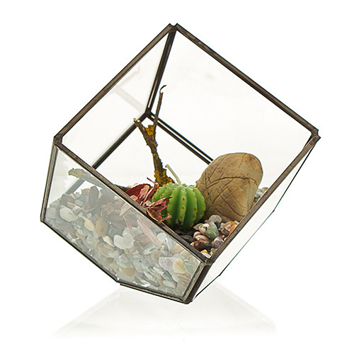 Geometric Glass Terrarium