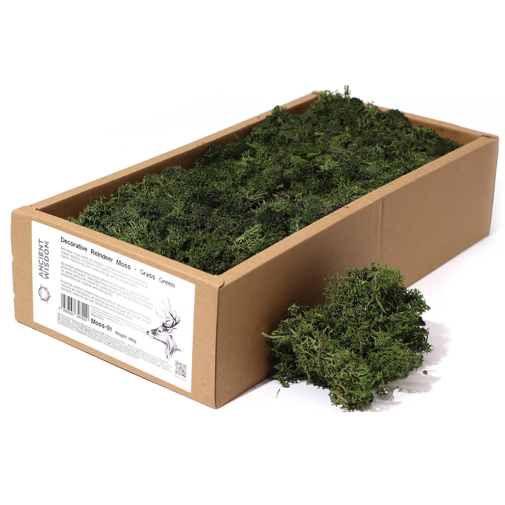 Green Grass Reindeer Moss 500g