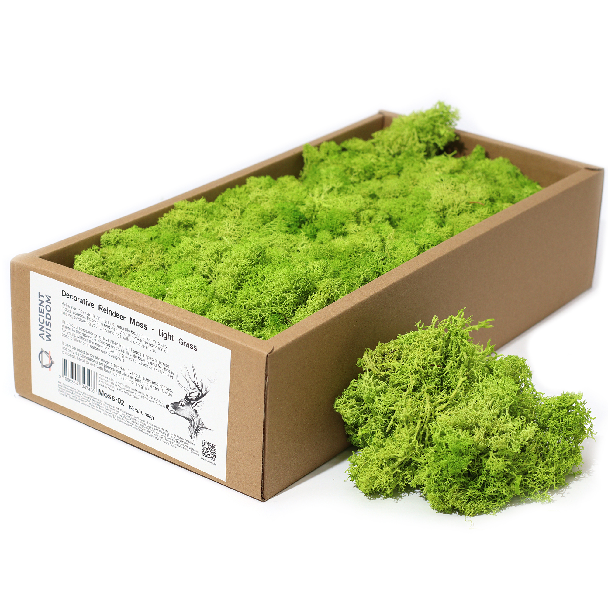 Light Green Grass Reindeer Moss 500g