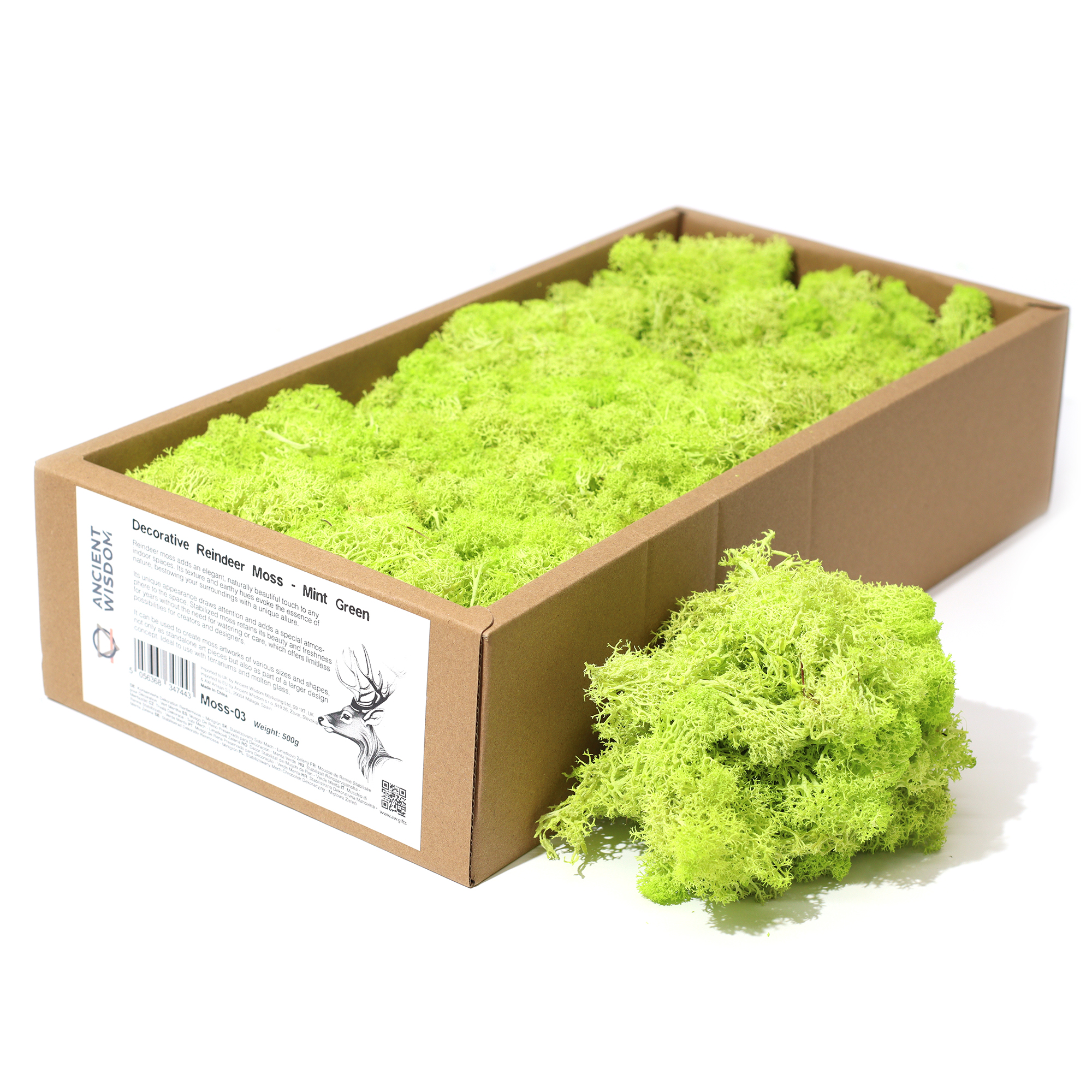 Mint Green Reindeer Moss 500g