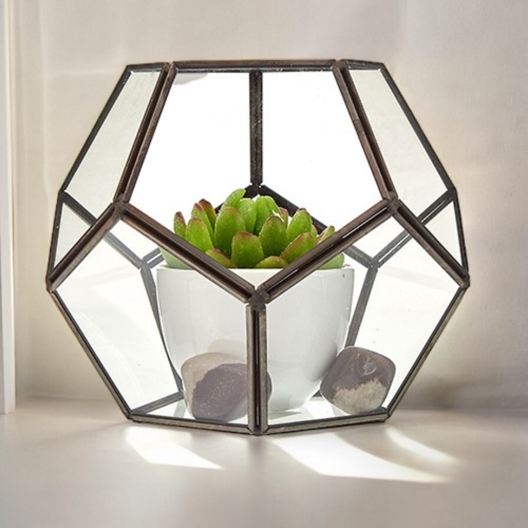 Large Octagon Glass Terrarium