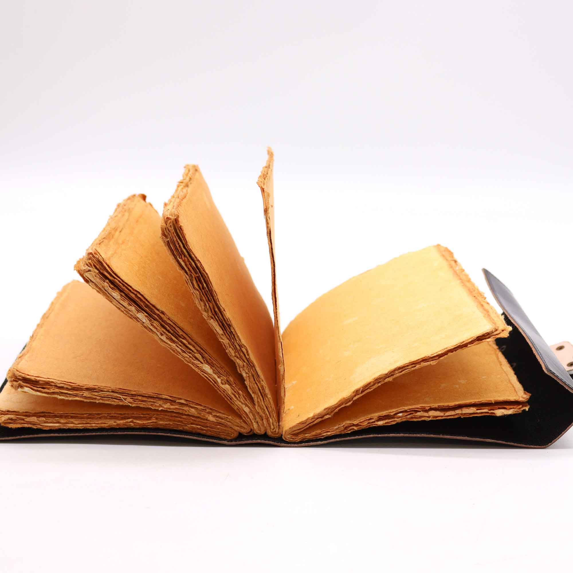 Black Book of Shadows 