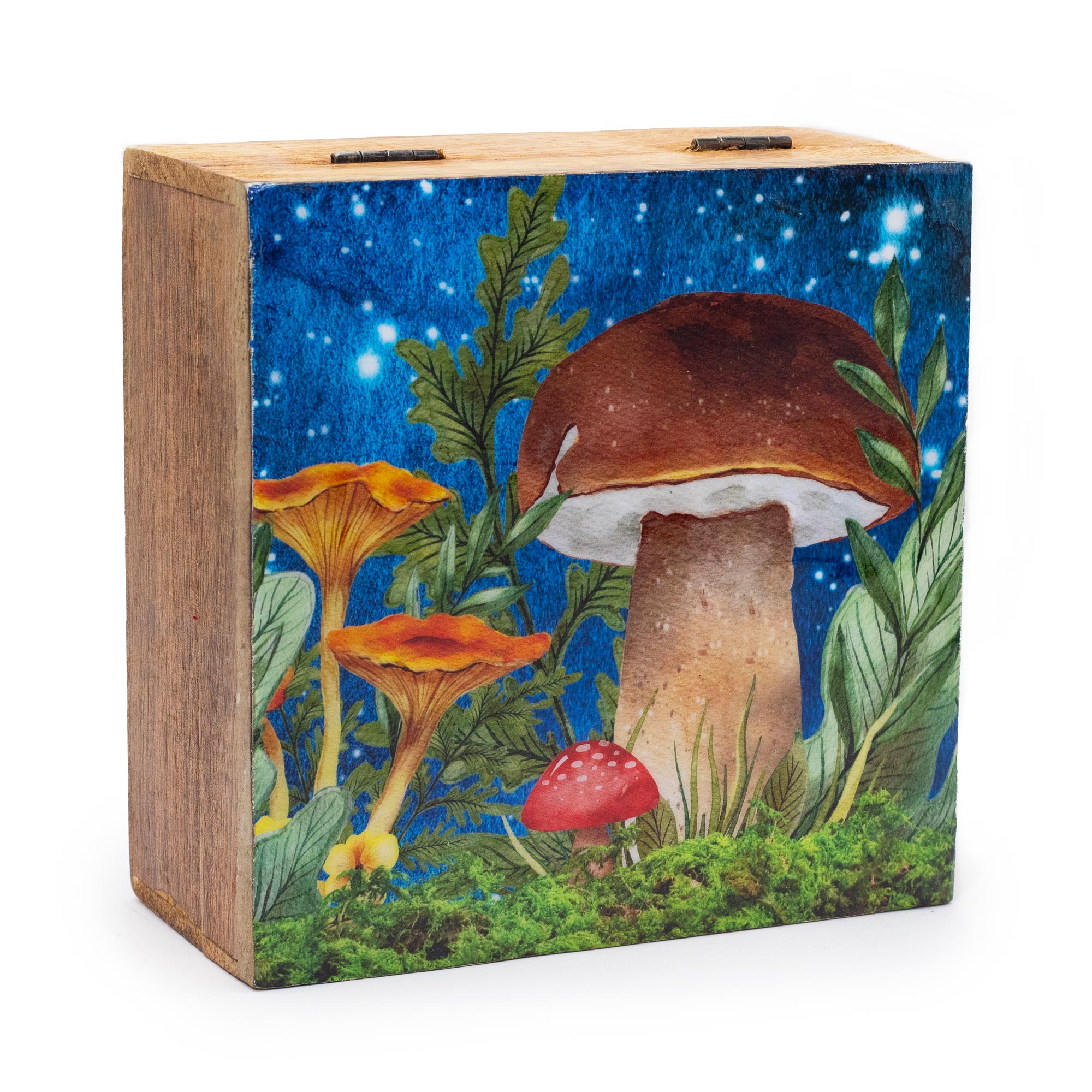 Night Sky Forest Mushroom Box