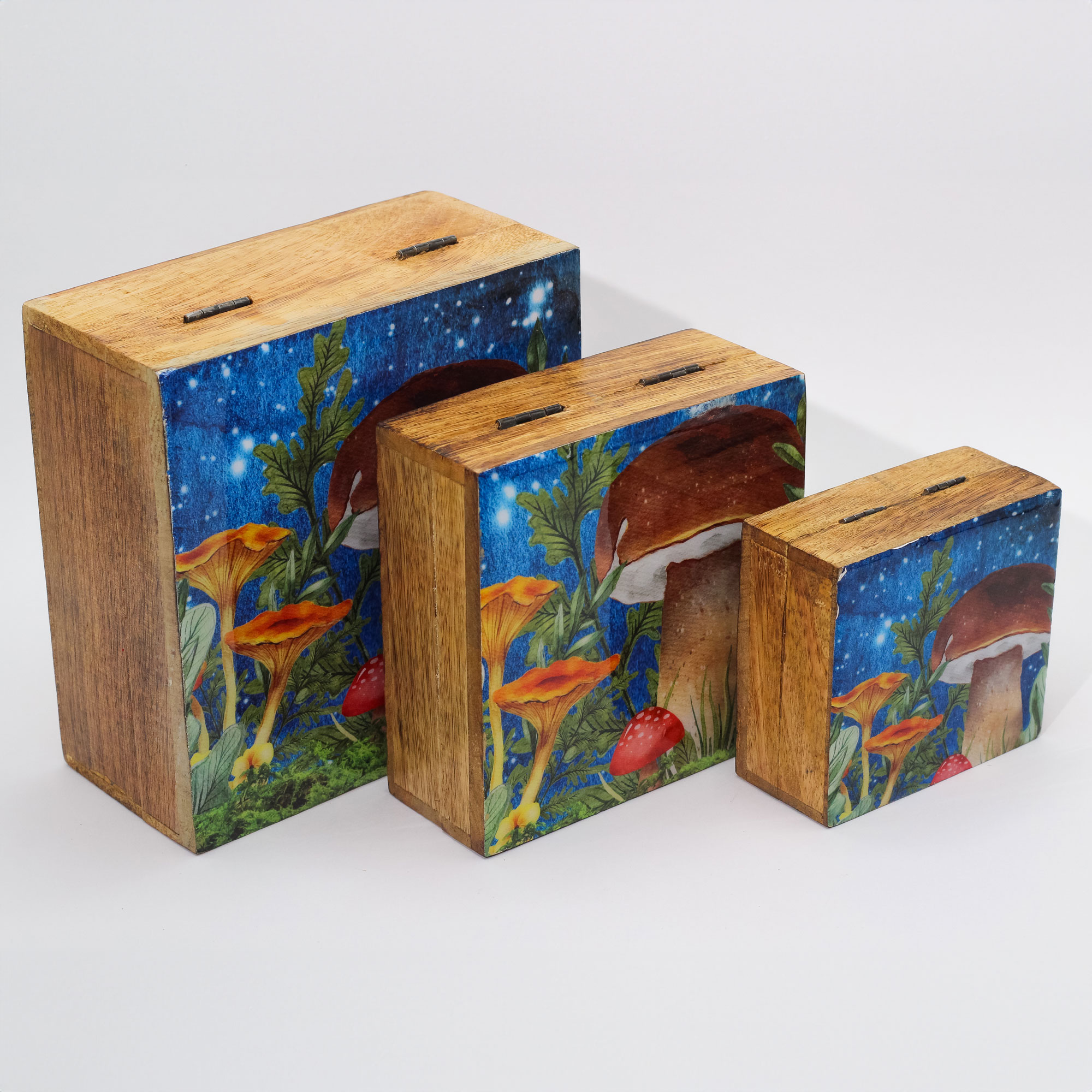 Night Sky Forest Mushroom Box