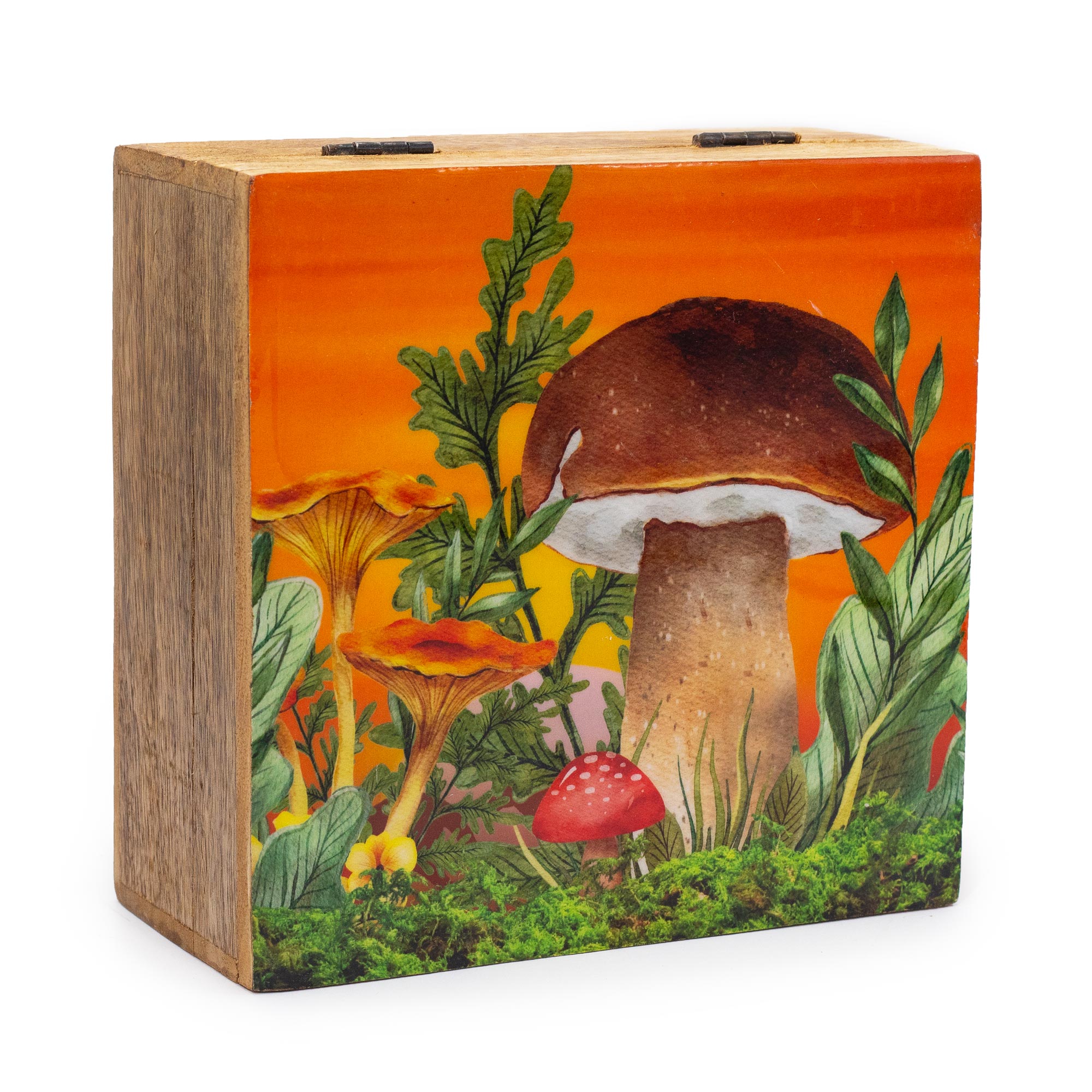 Sunset Forest Mushroom Box