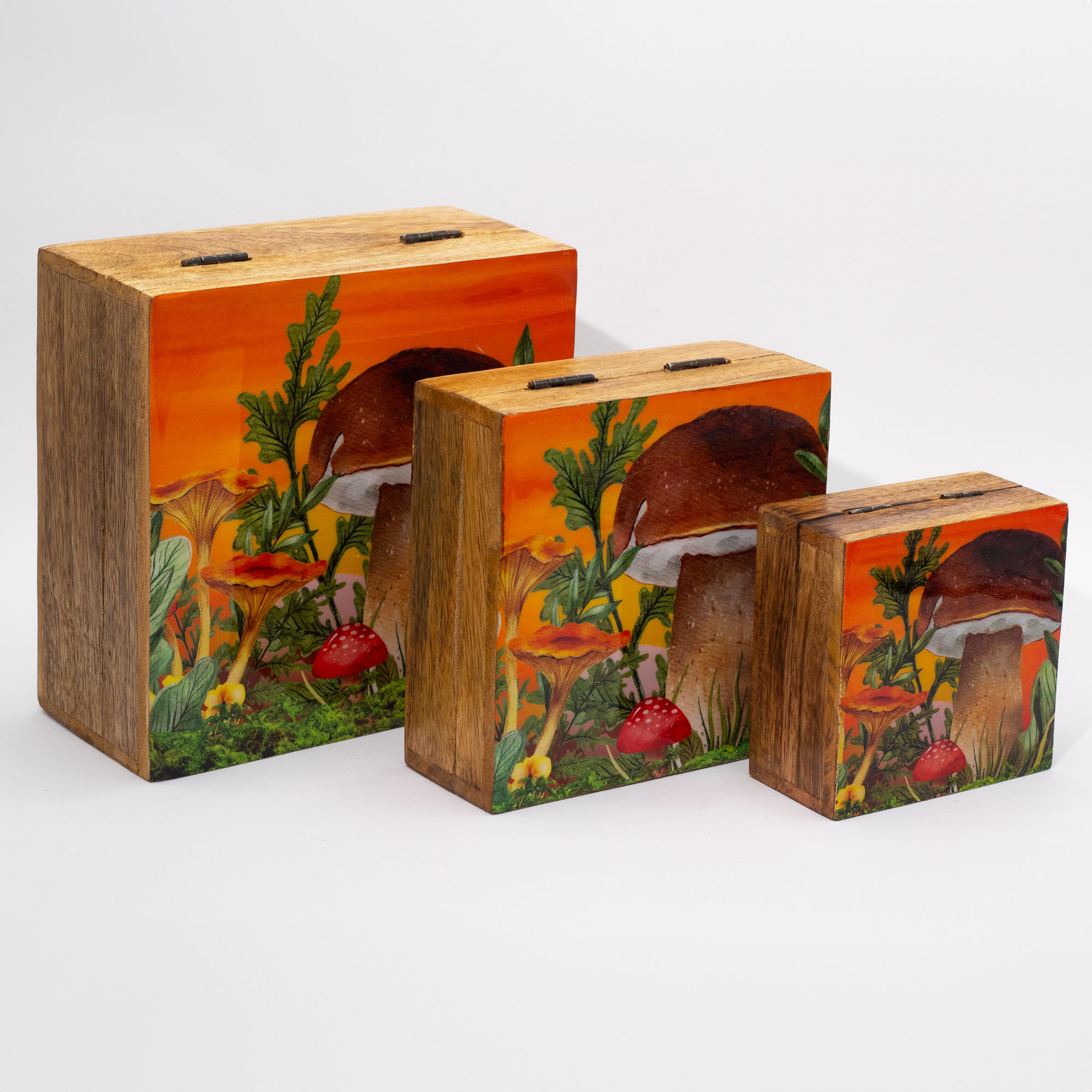 Sunset Forest Mushroom Box