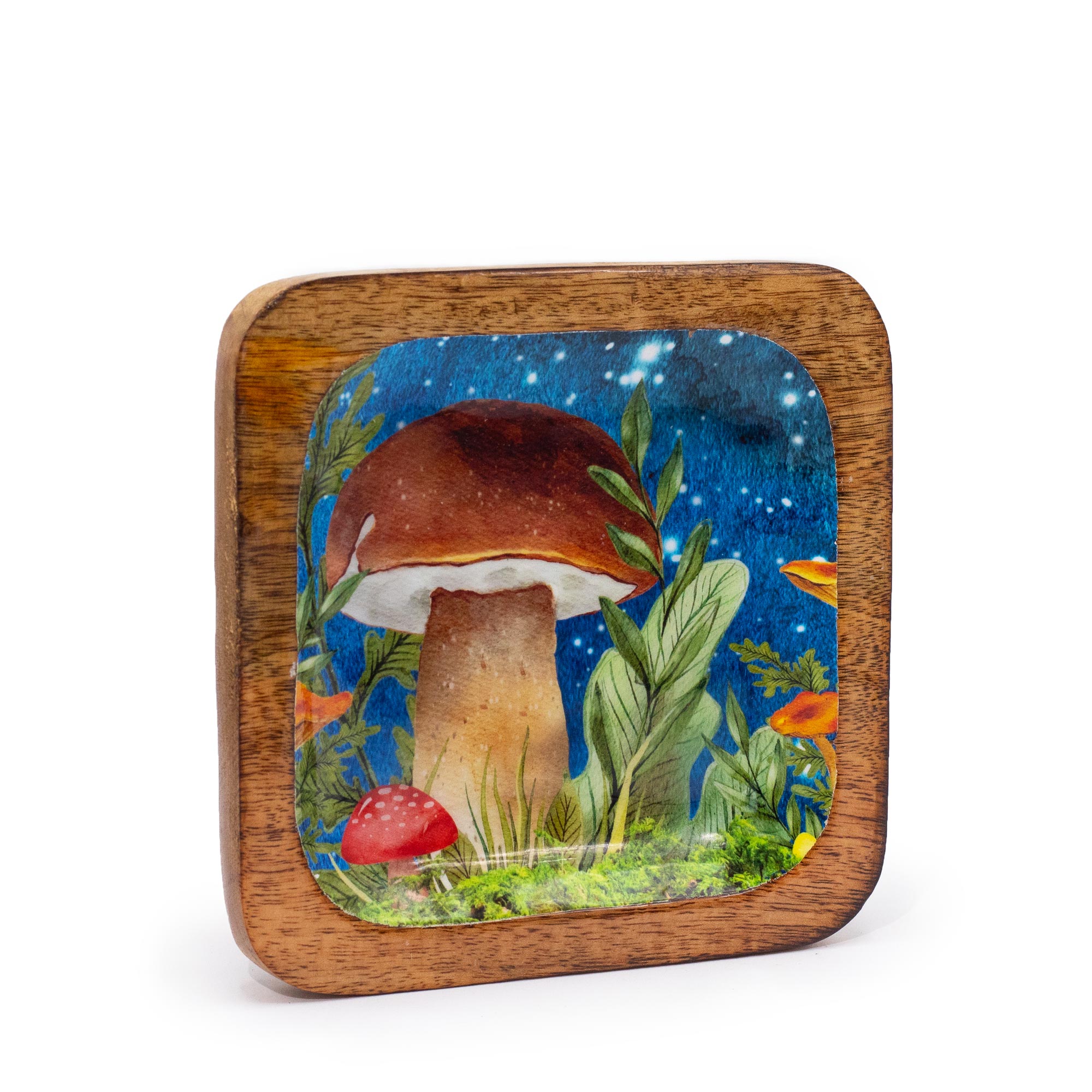 Night Sky Forest Mushroom Trinket Tray 