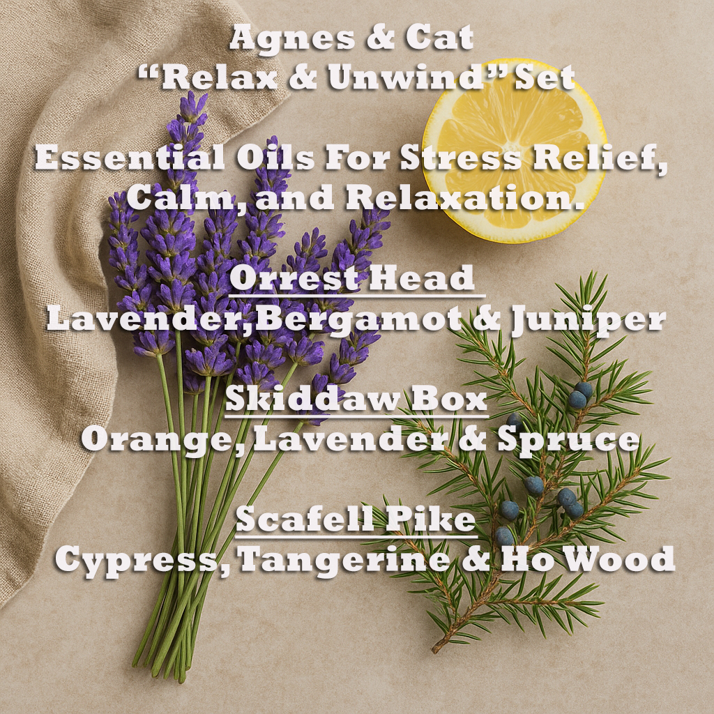 Agnes & Cat Relax and Unwind Essential Oil Set 3 x 10ml