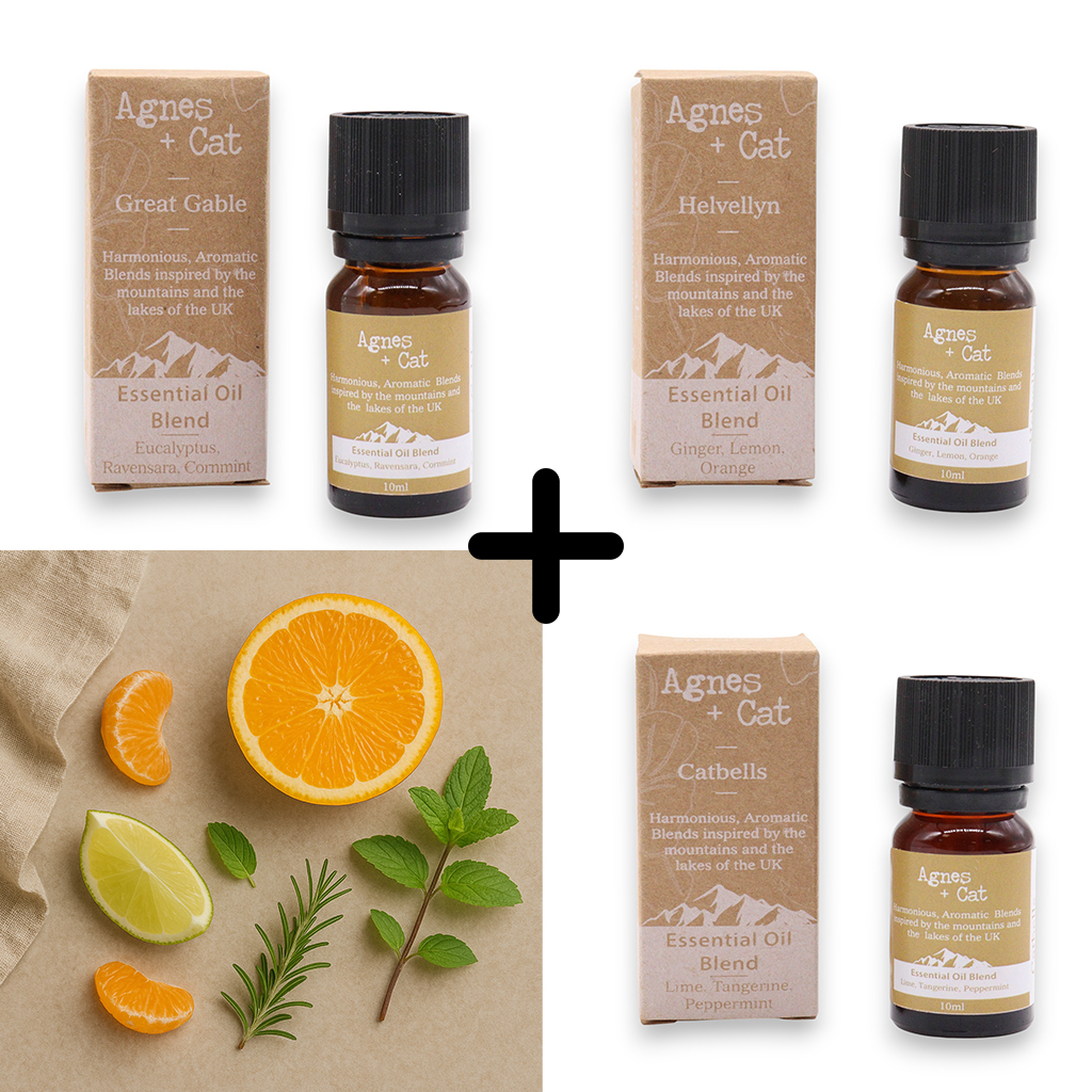 Agnes & Cat Energy Boost Essential Oil Set 3x10ml