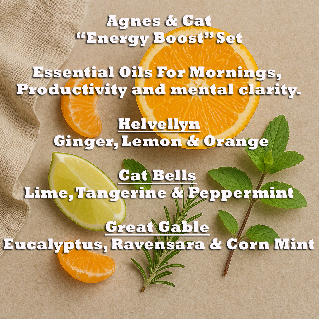 Agnes & Cat Energy Boost Essential Oil Set 3x10ml